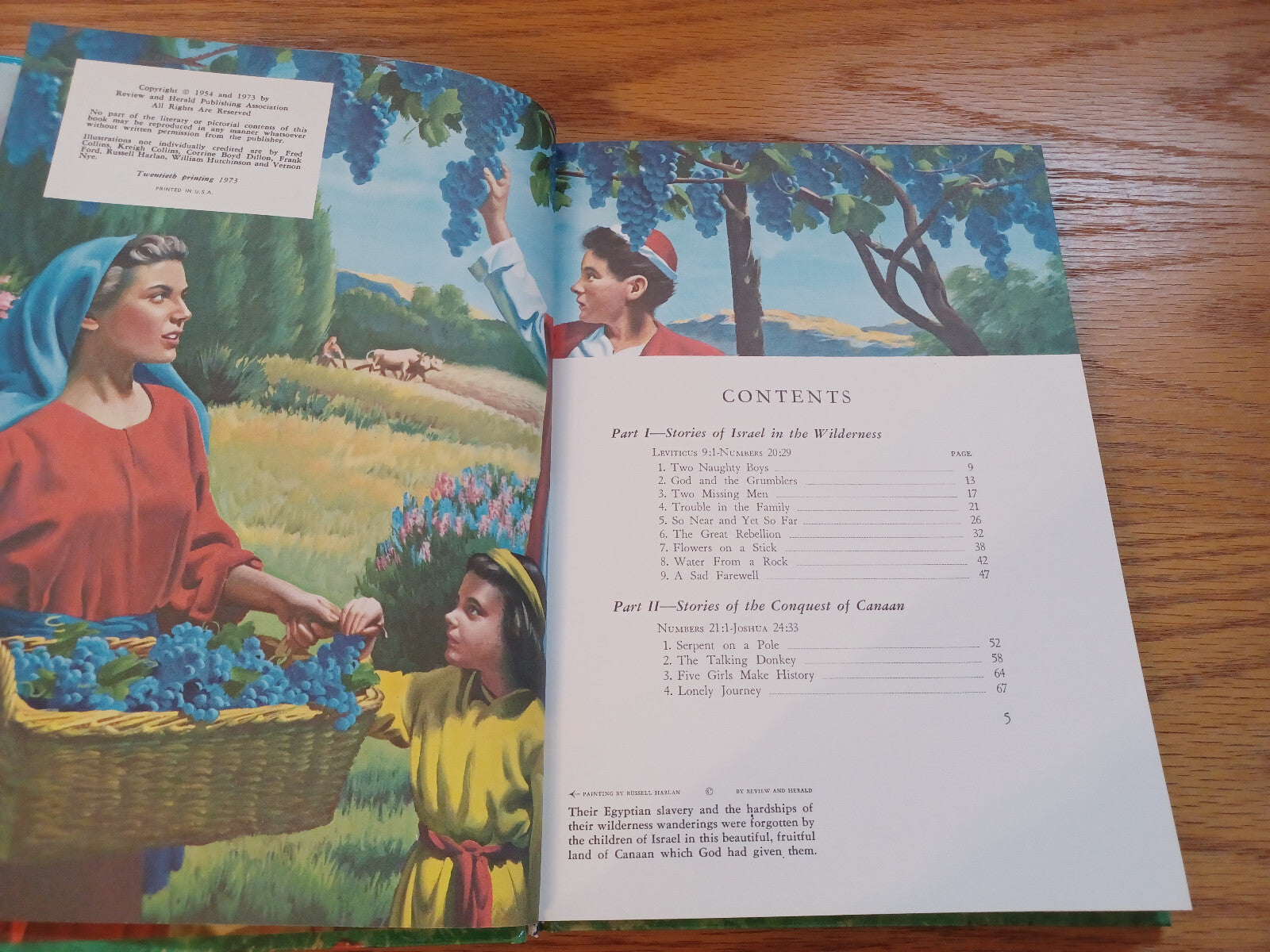 Image #8