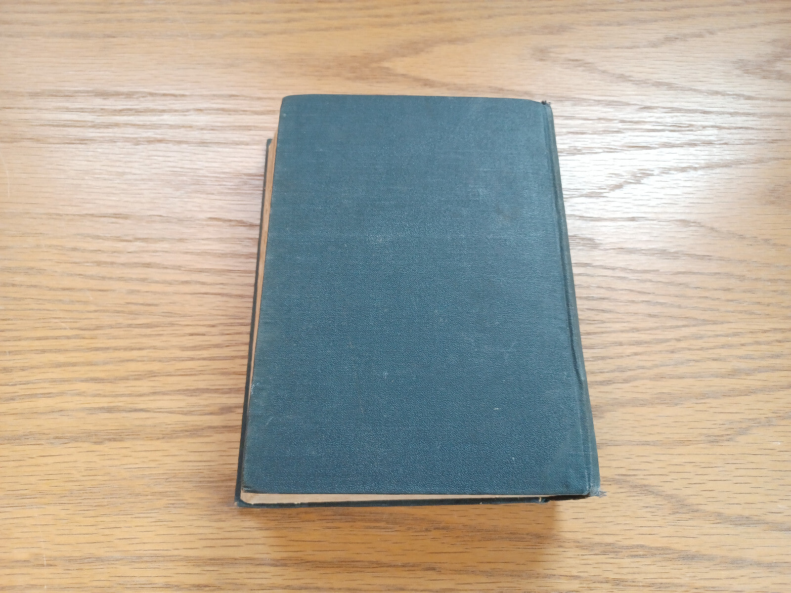 Image #6