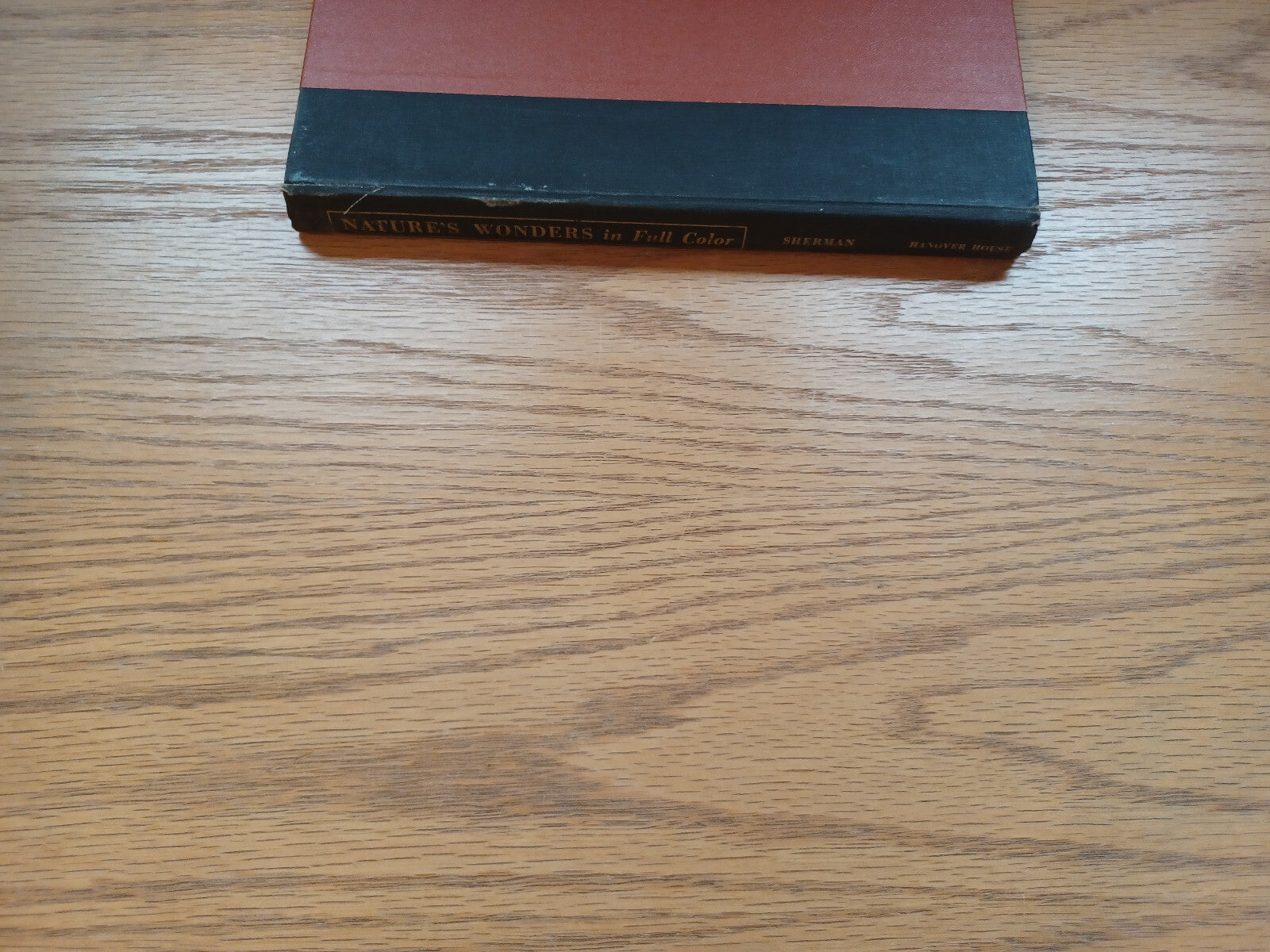 Image #5