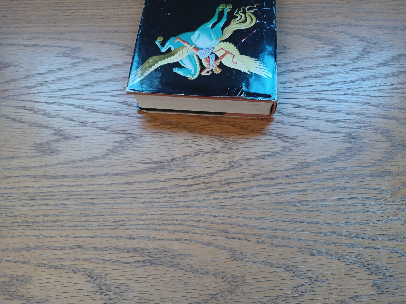 Image #4