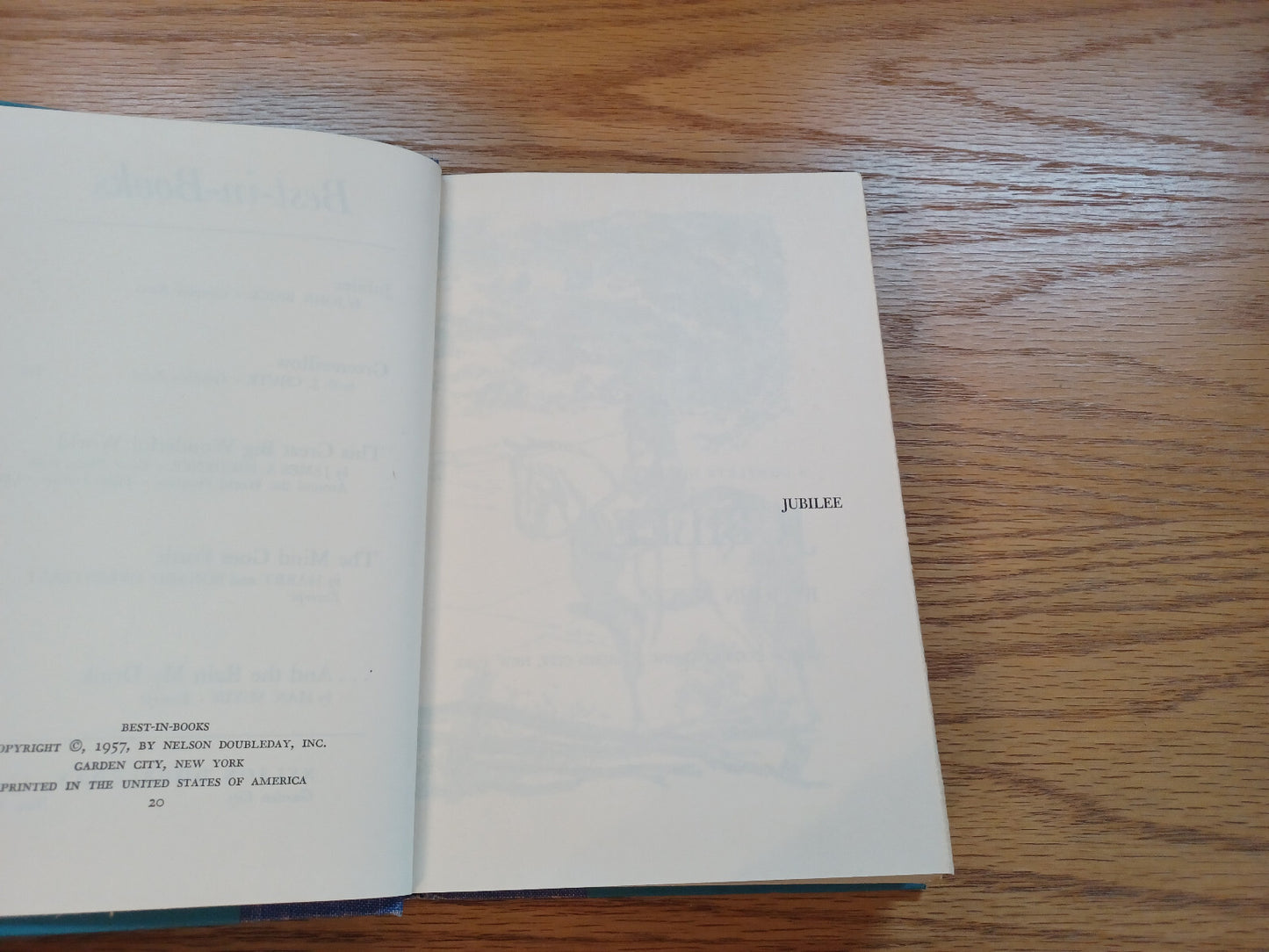 Image #8