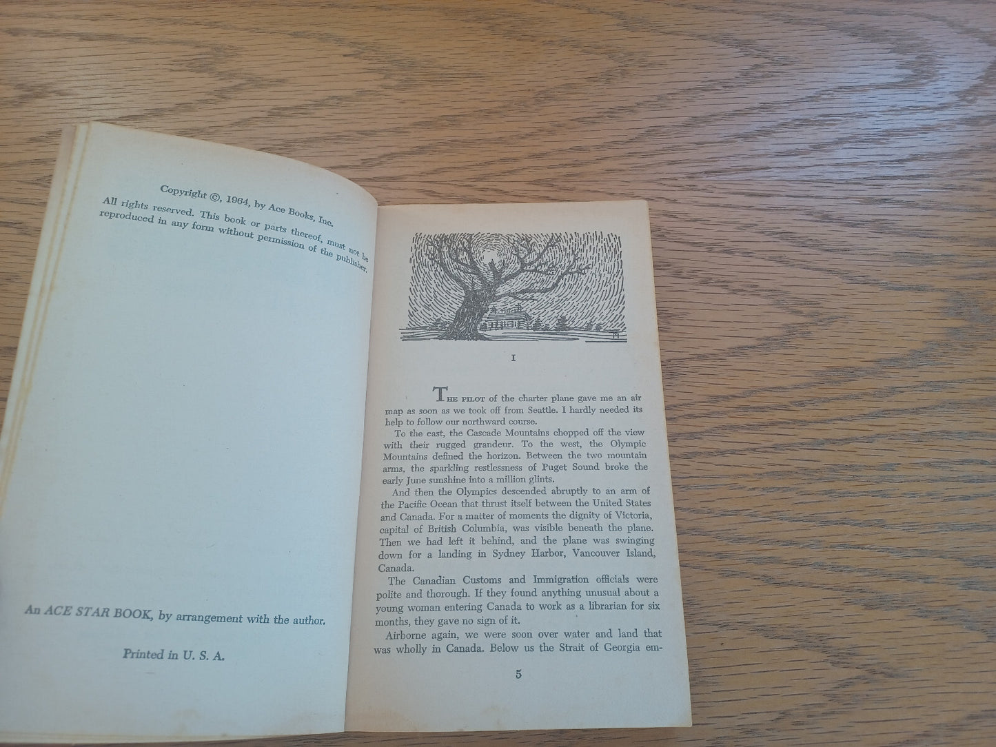 Image #8