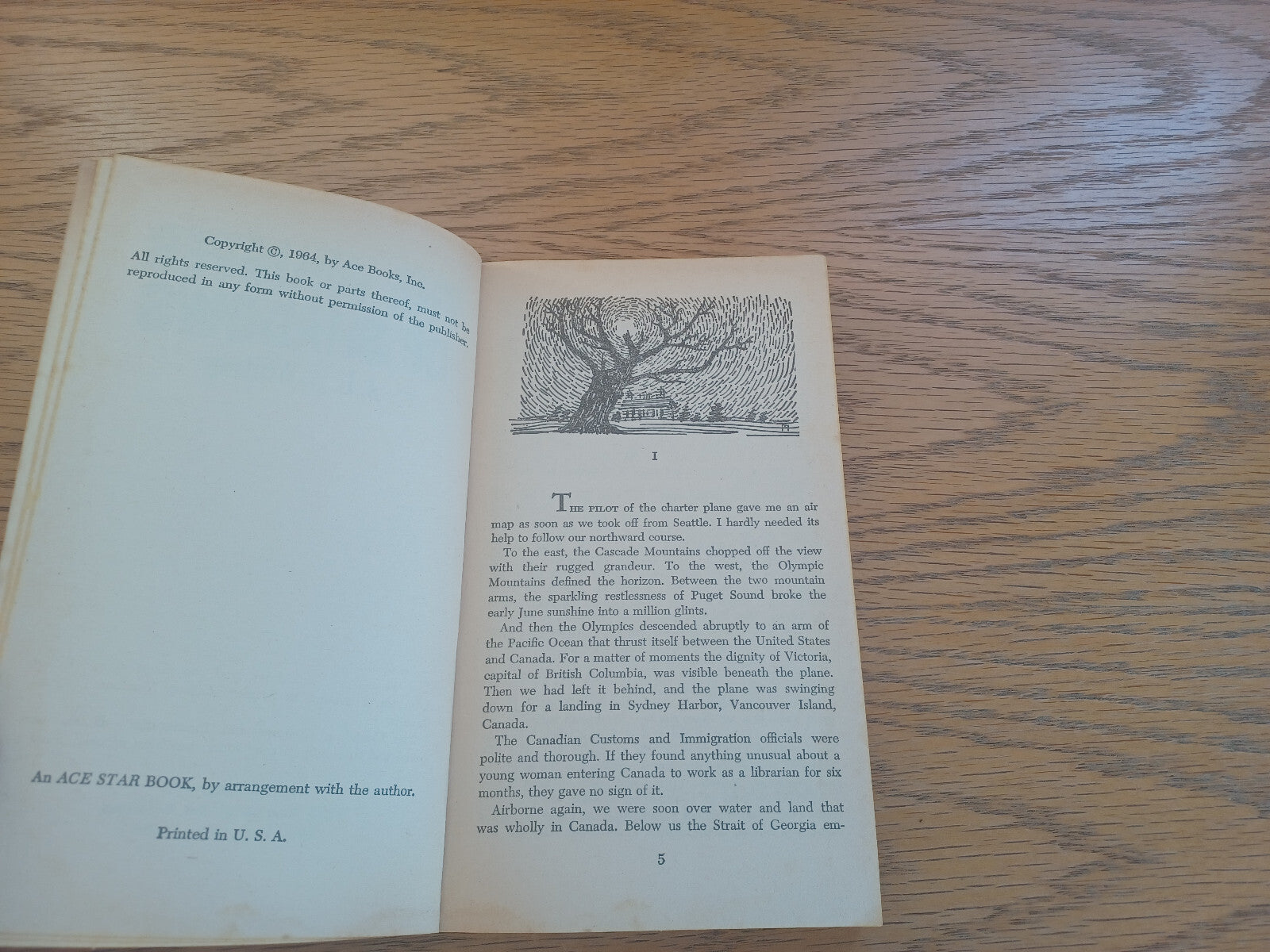 Image #8