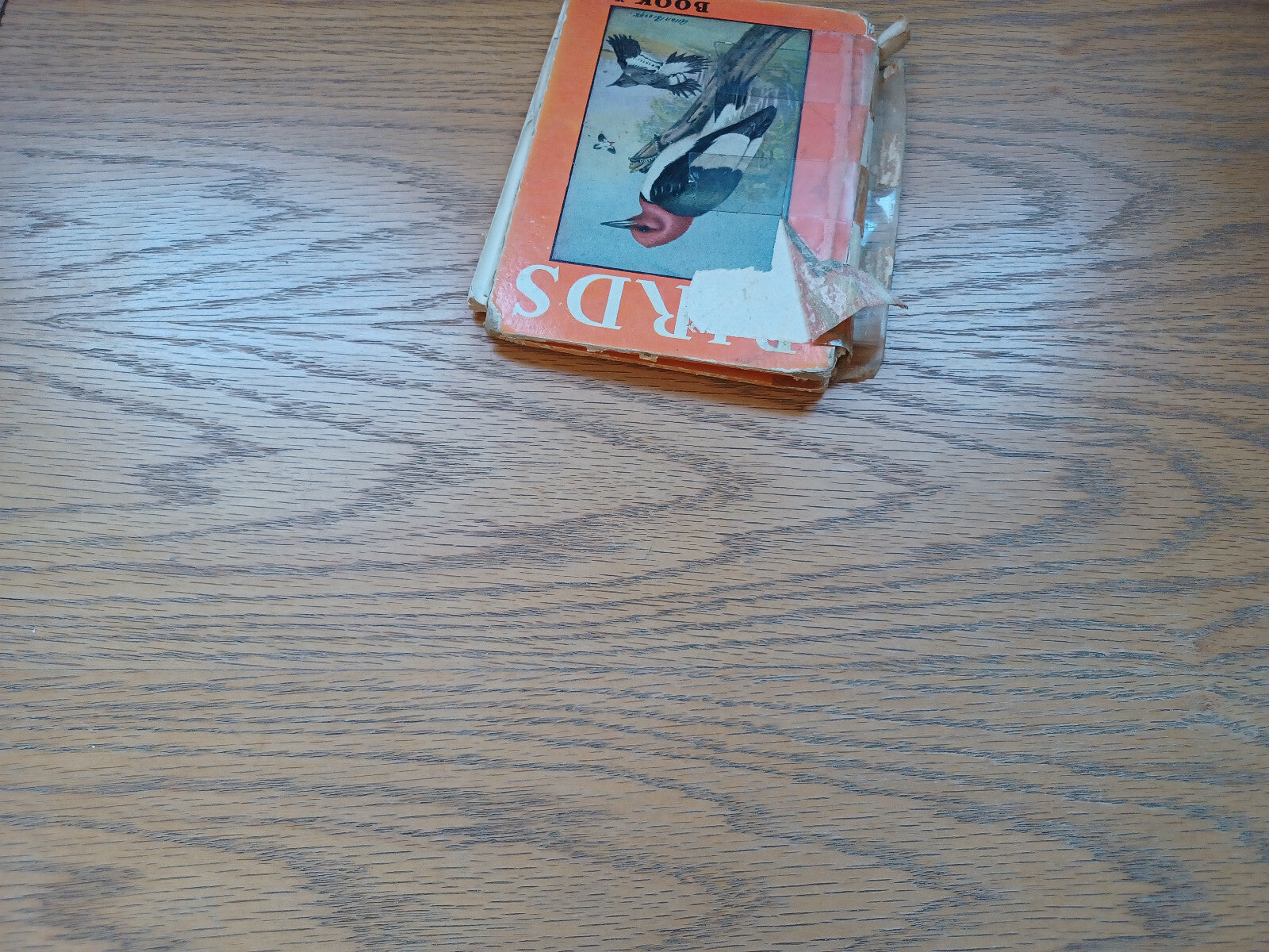 Image #4
