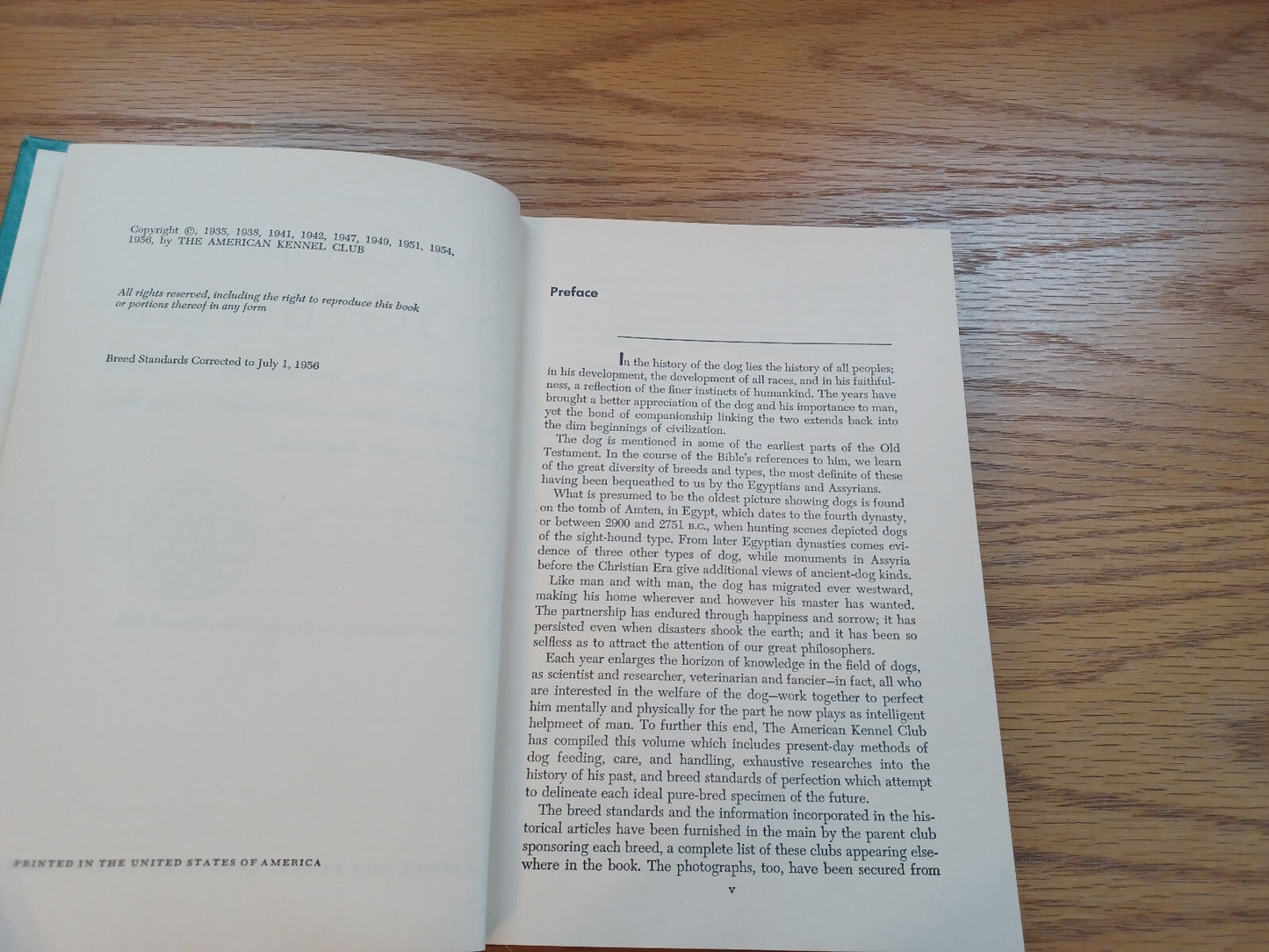 Image #8