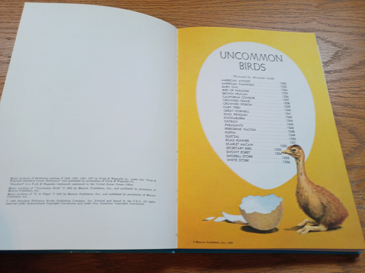 Image #8