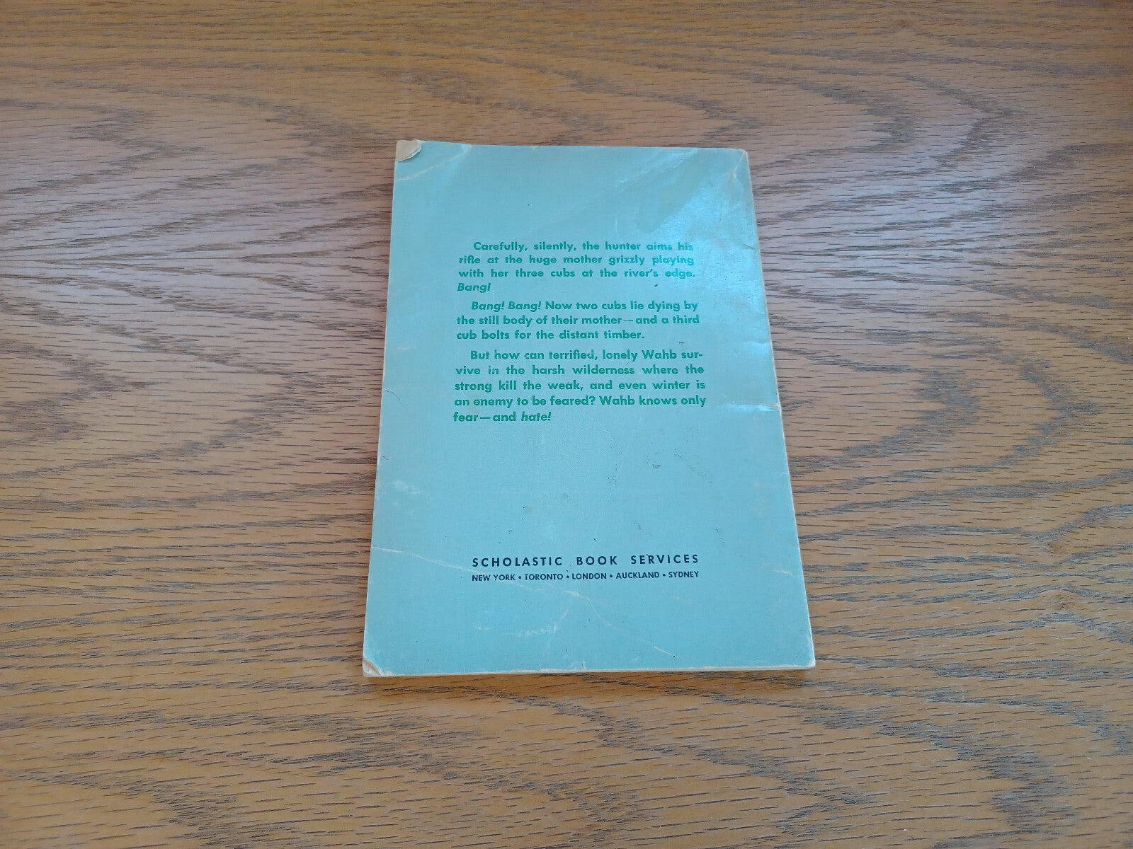 Image #6