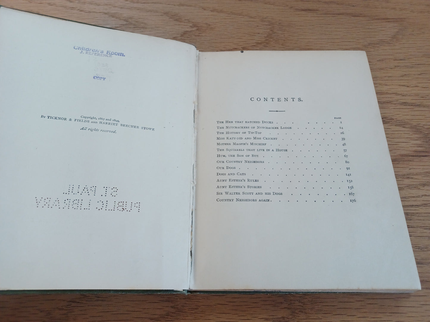 Image #8
