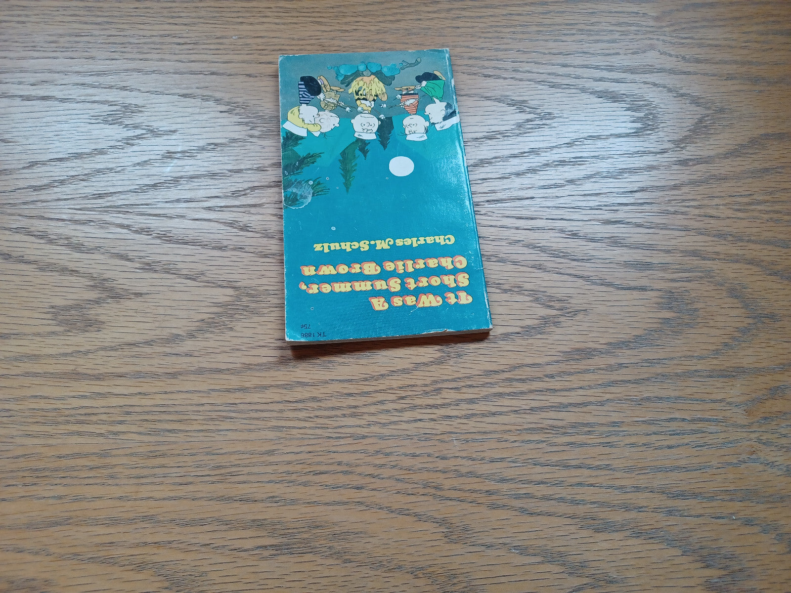 Image #4