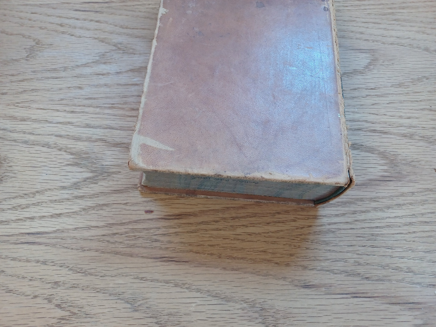 Image #4