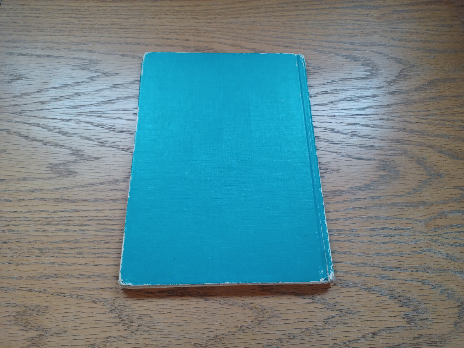 Image #6