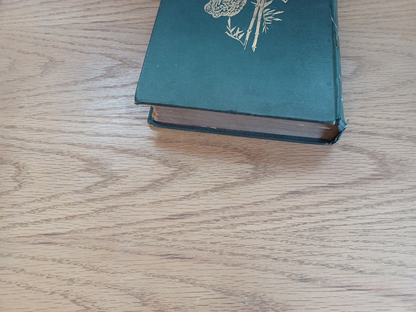 Image #4