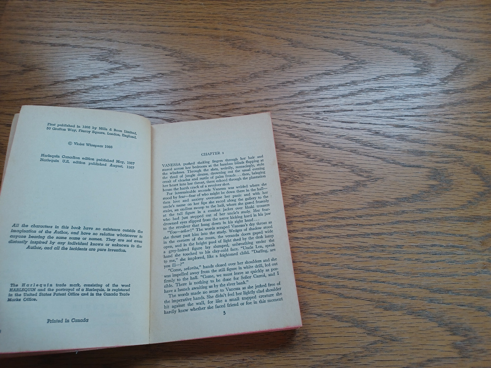 Image #8