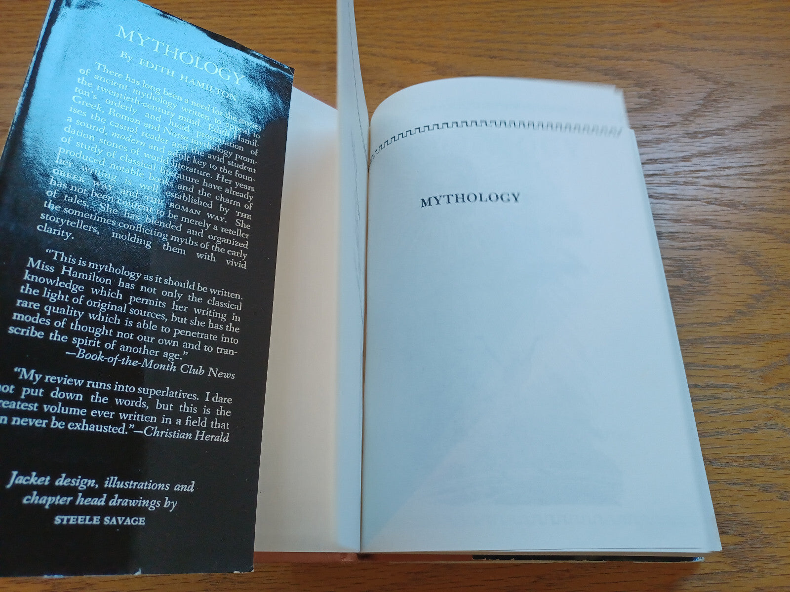 Image #7