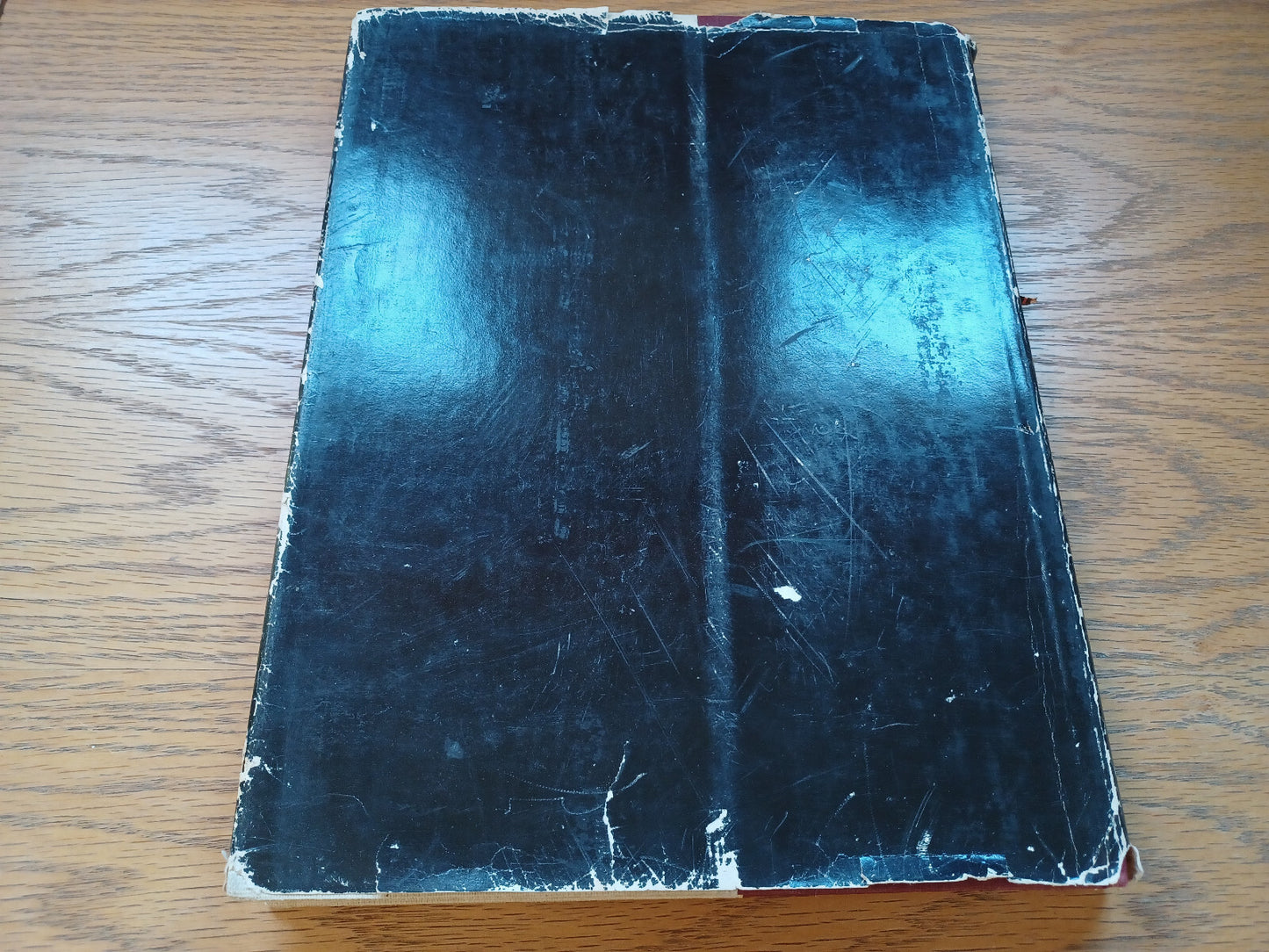 Image #6
