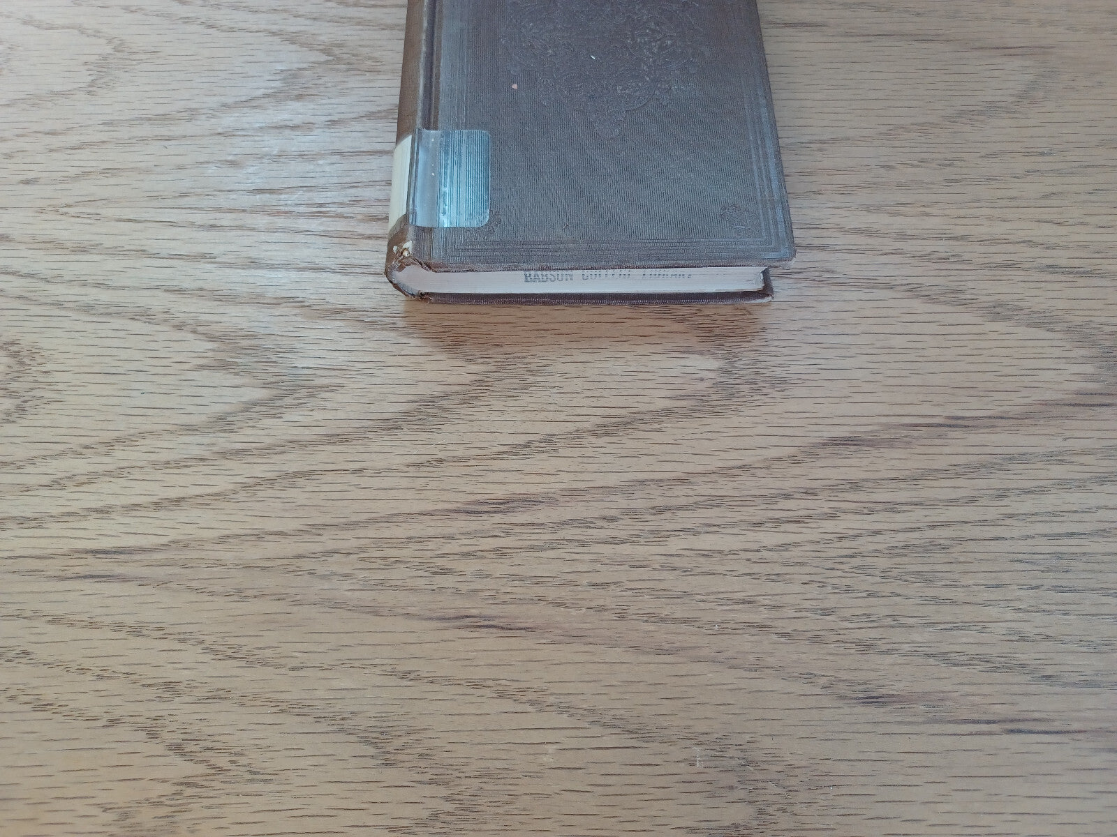 Image #2