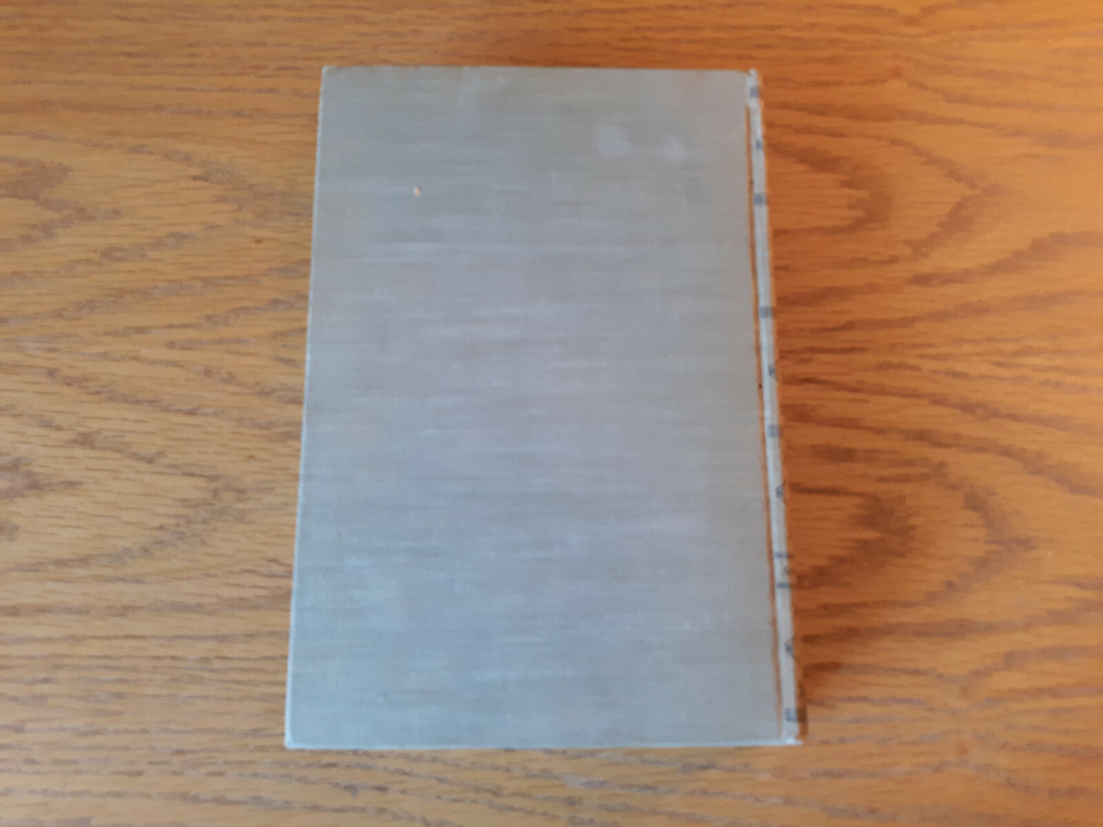 Image #6