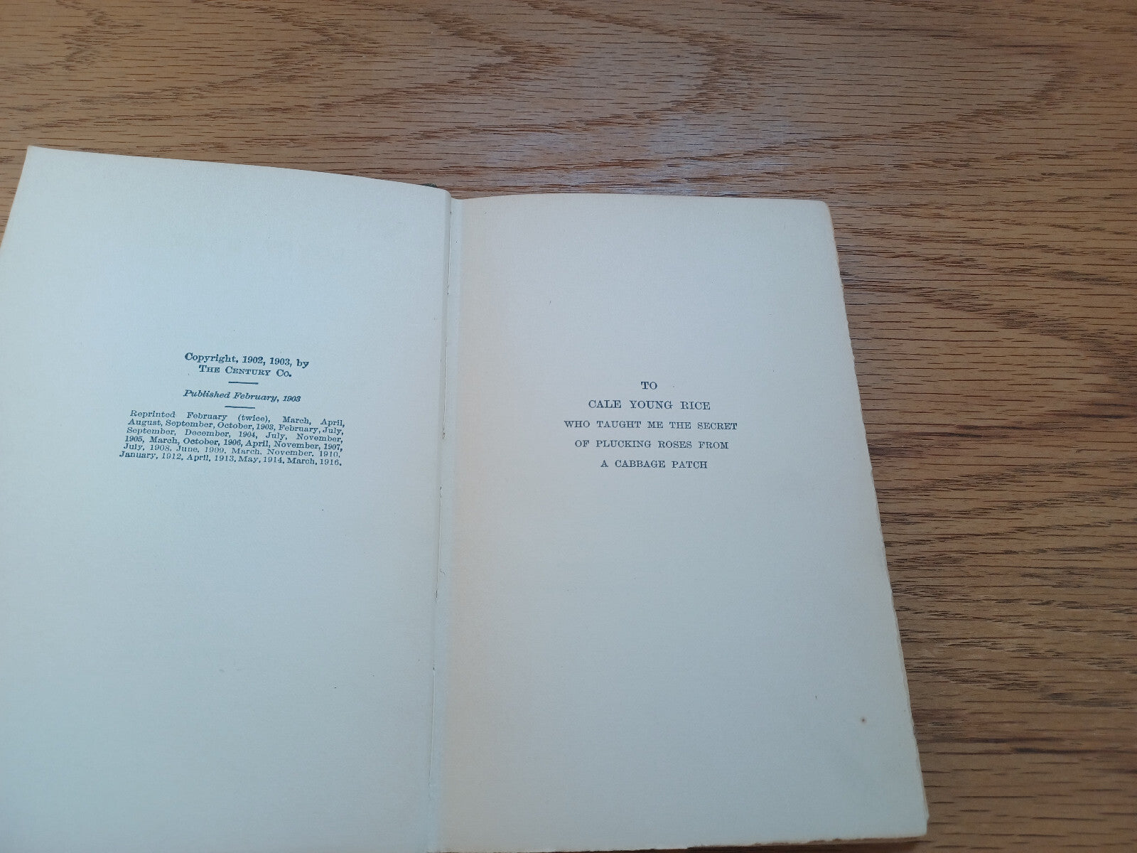 Image #8