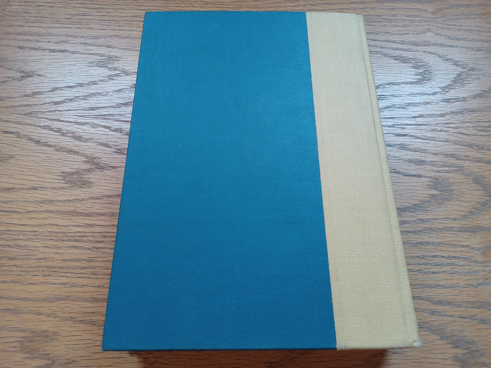 Image #6