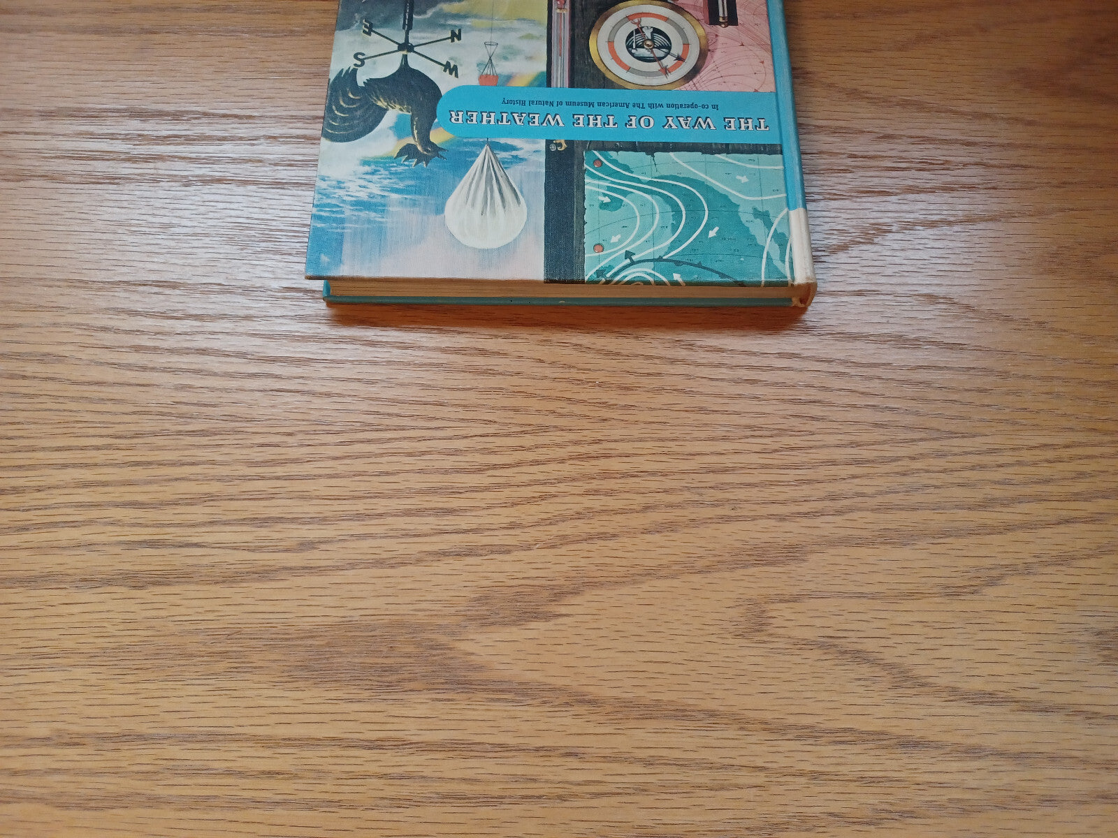 Image #4