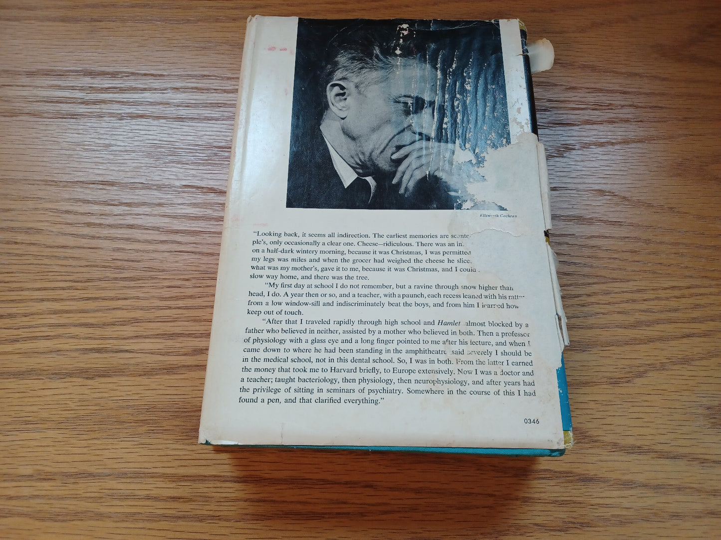 Image #6