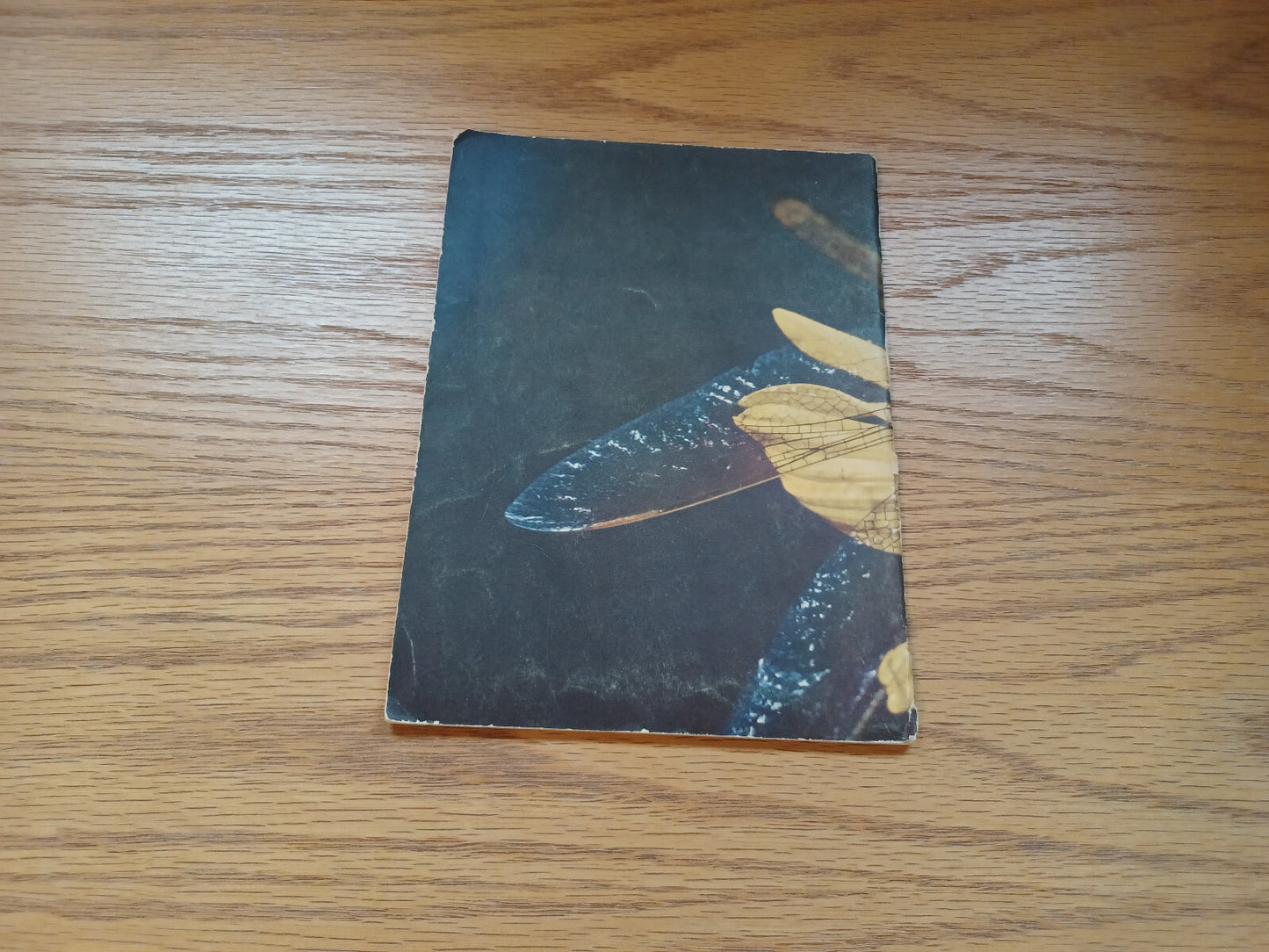 Image #3
