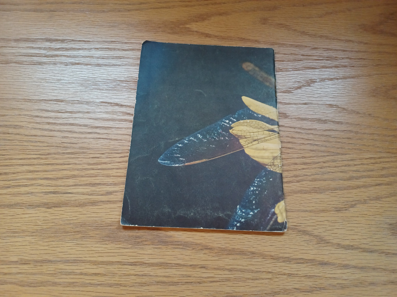 Image #3