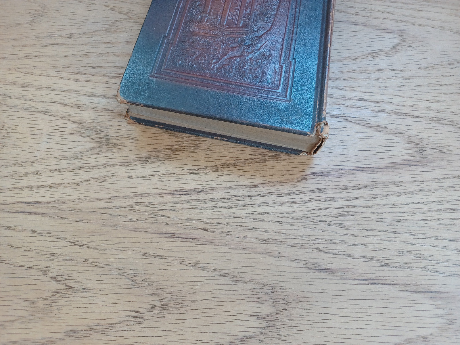 Image #4