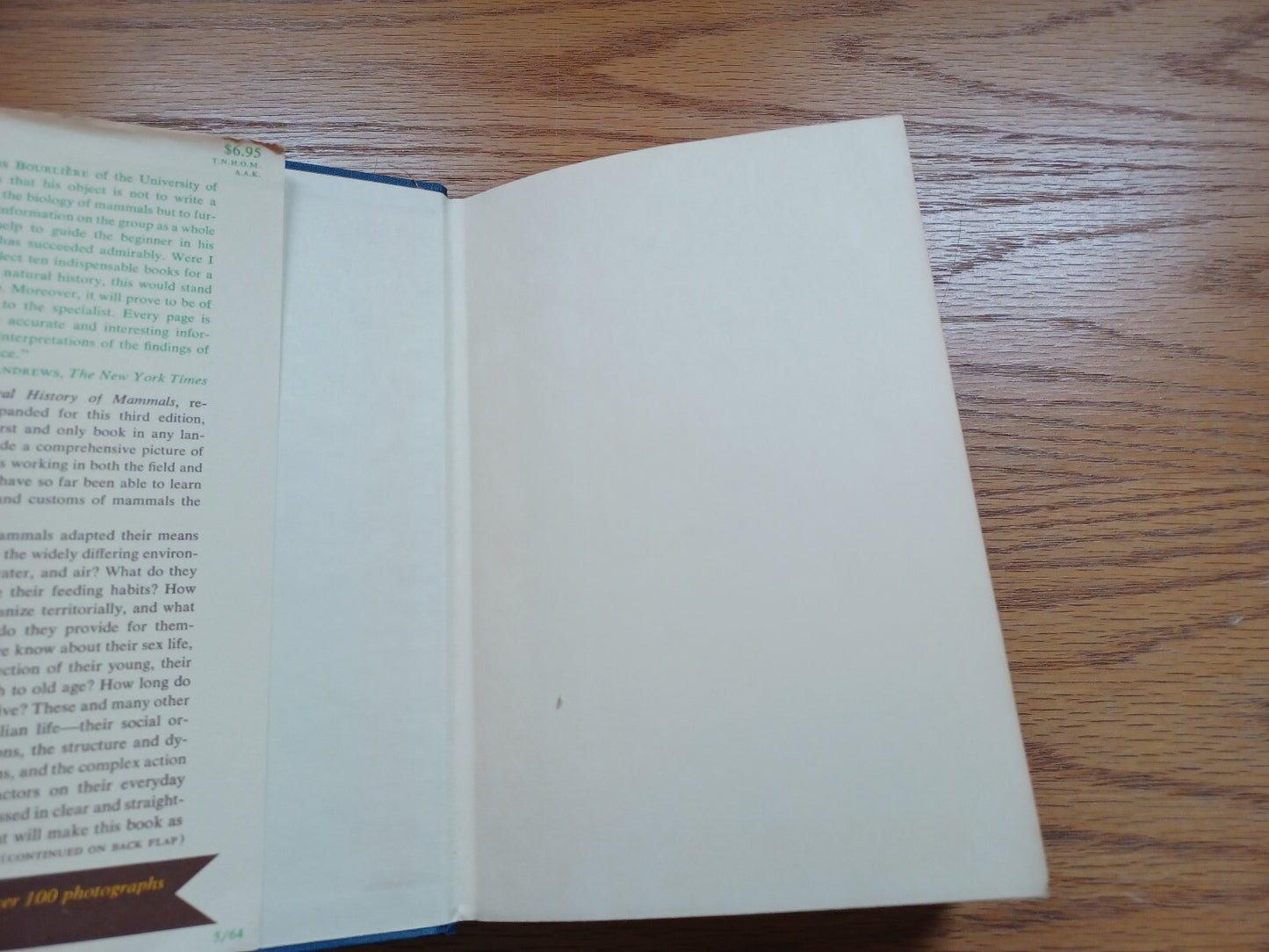 Image #7