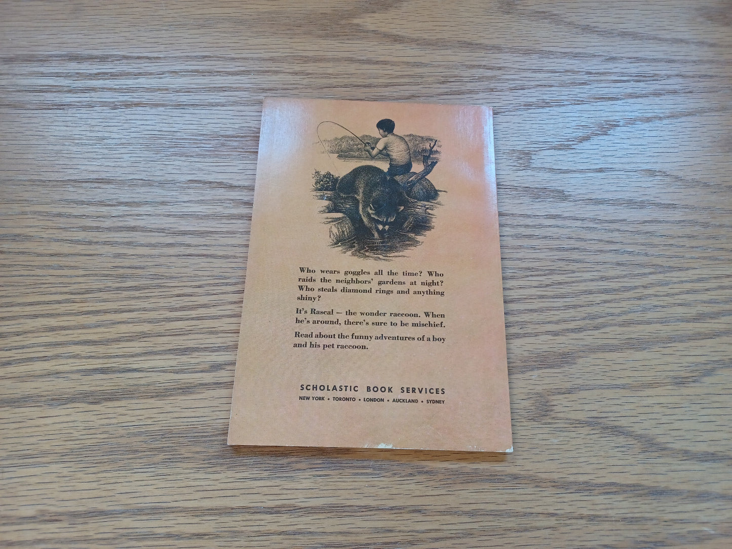 Image #6