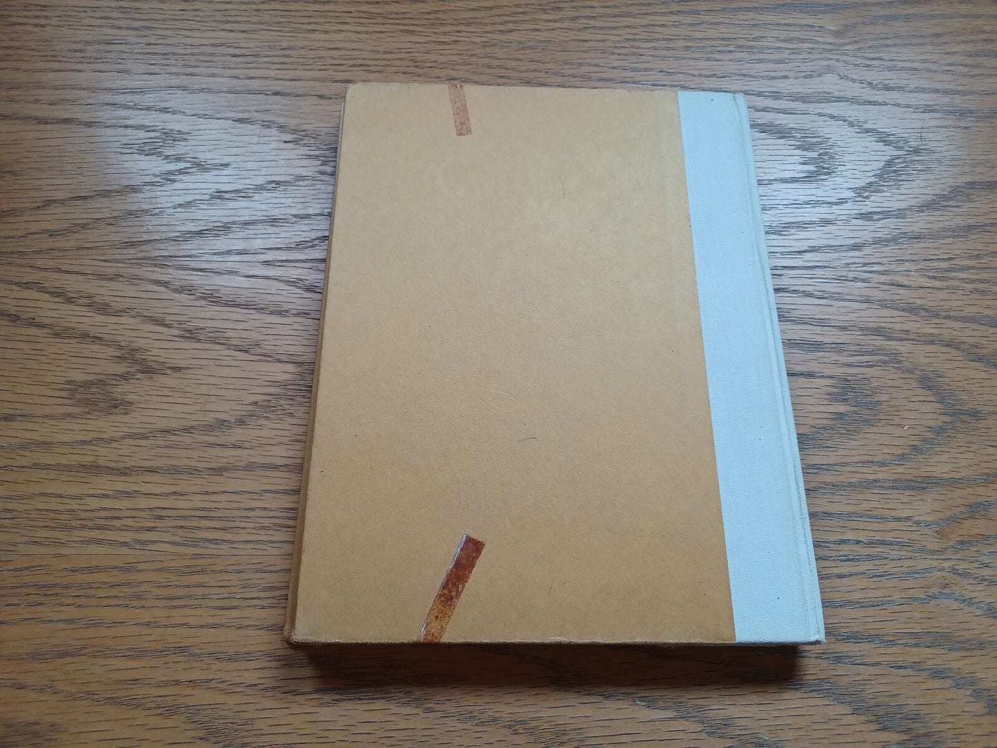 Image #6