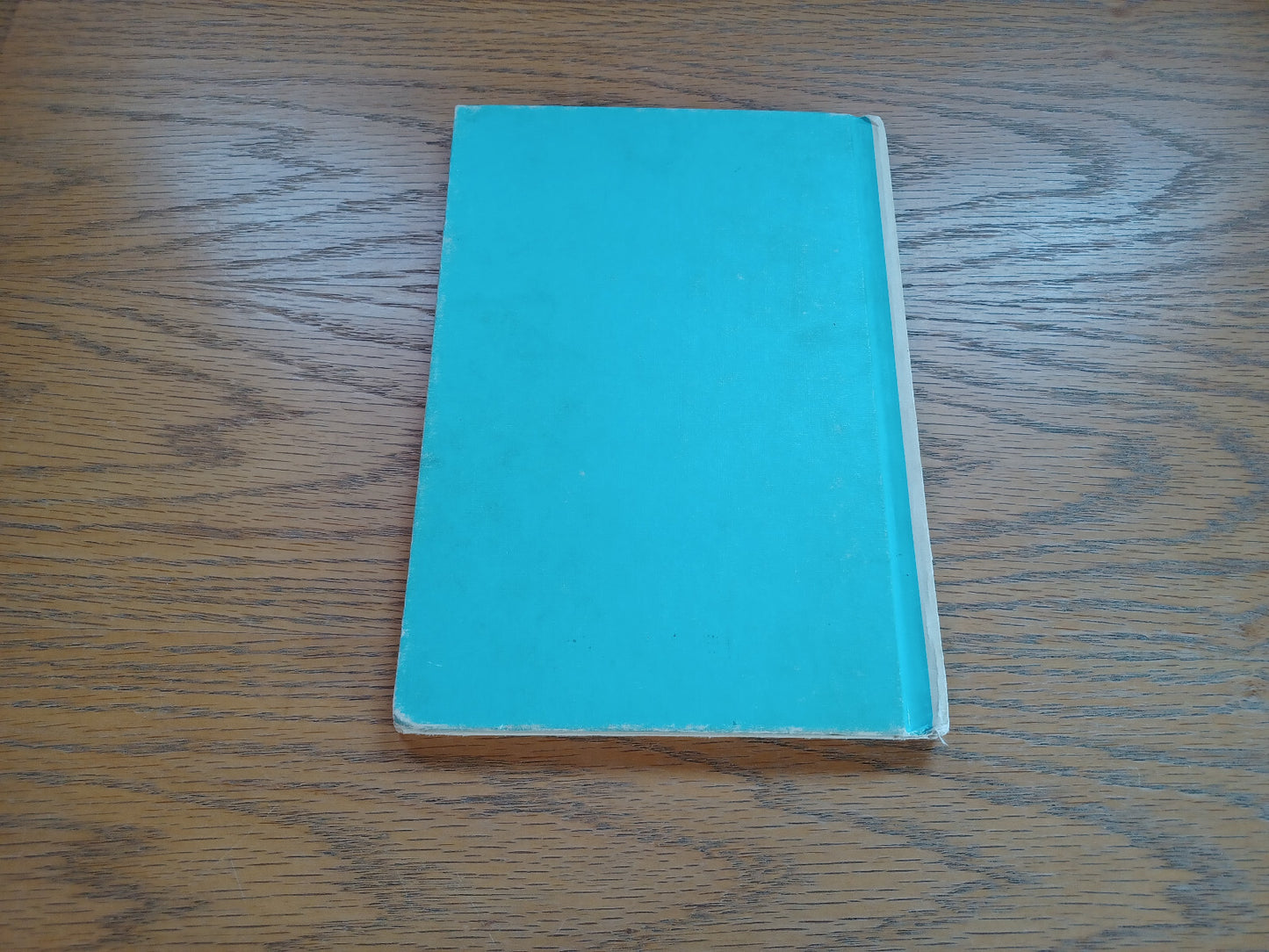 Image #6