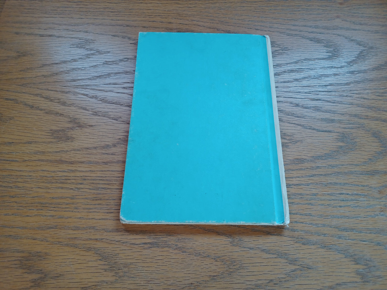 Image #6