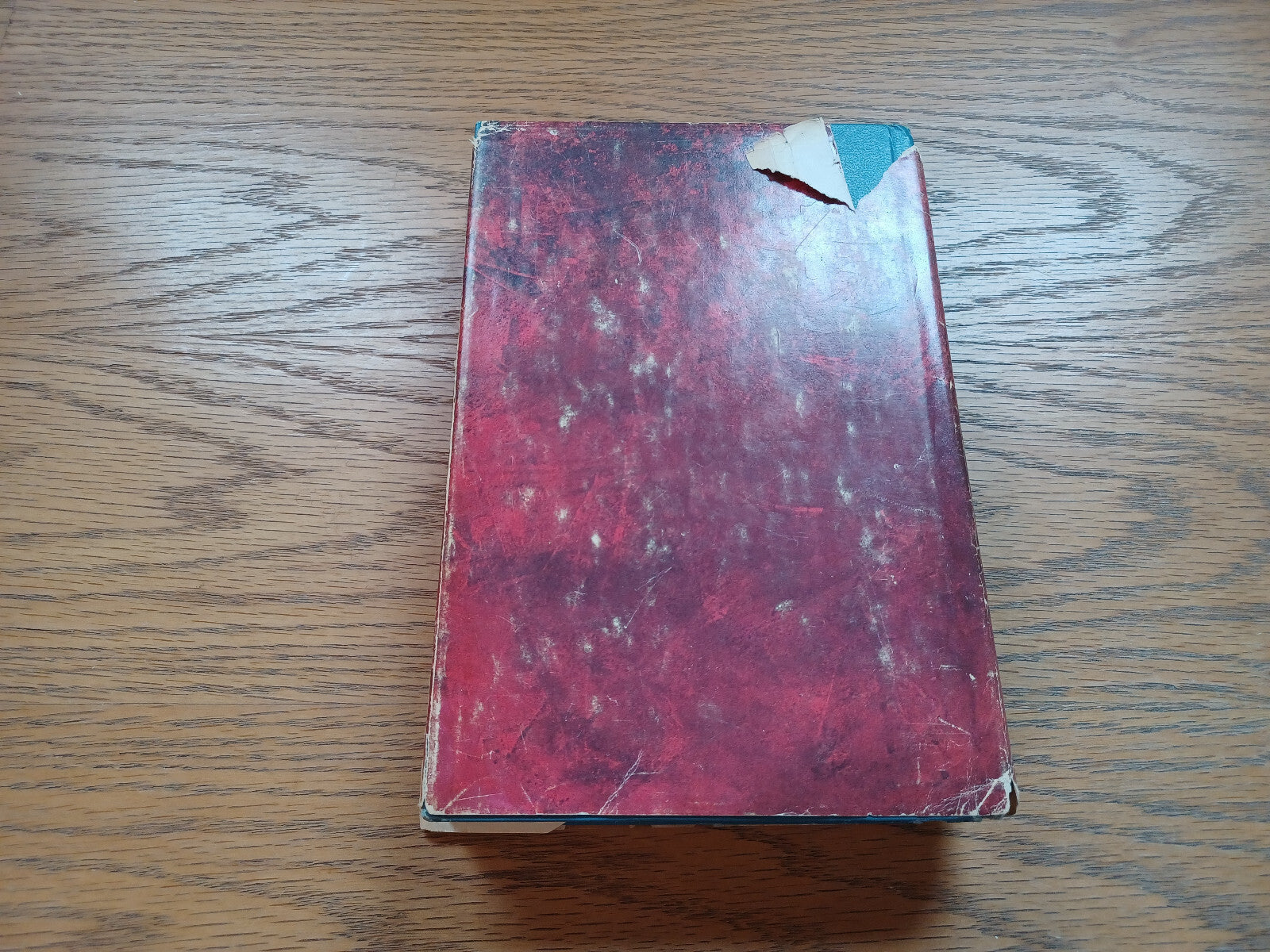 Image #6