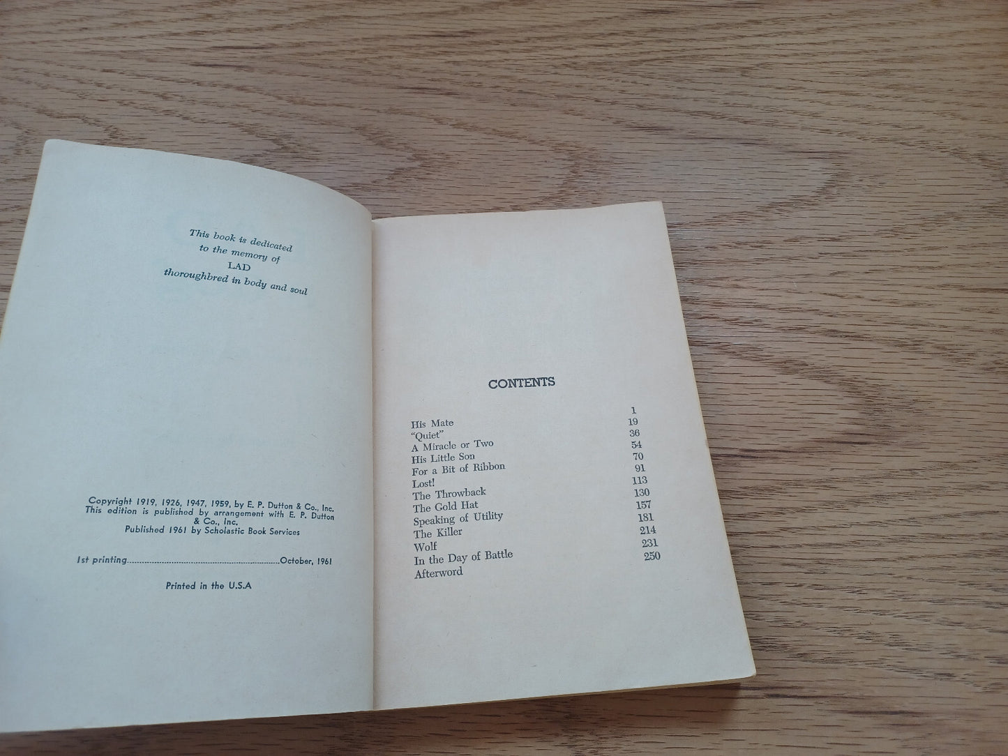 Image #8