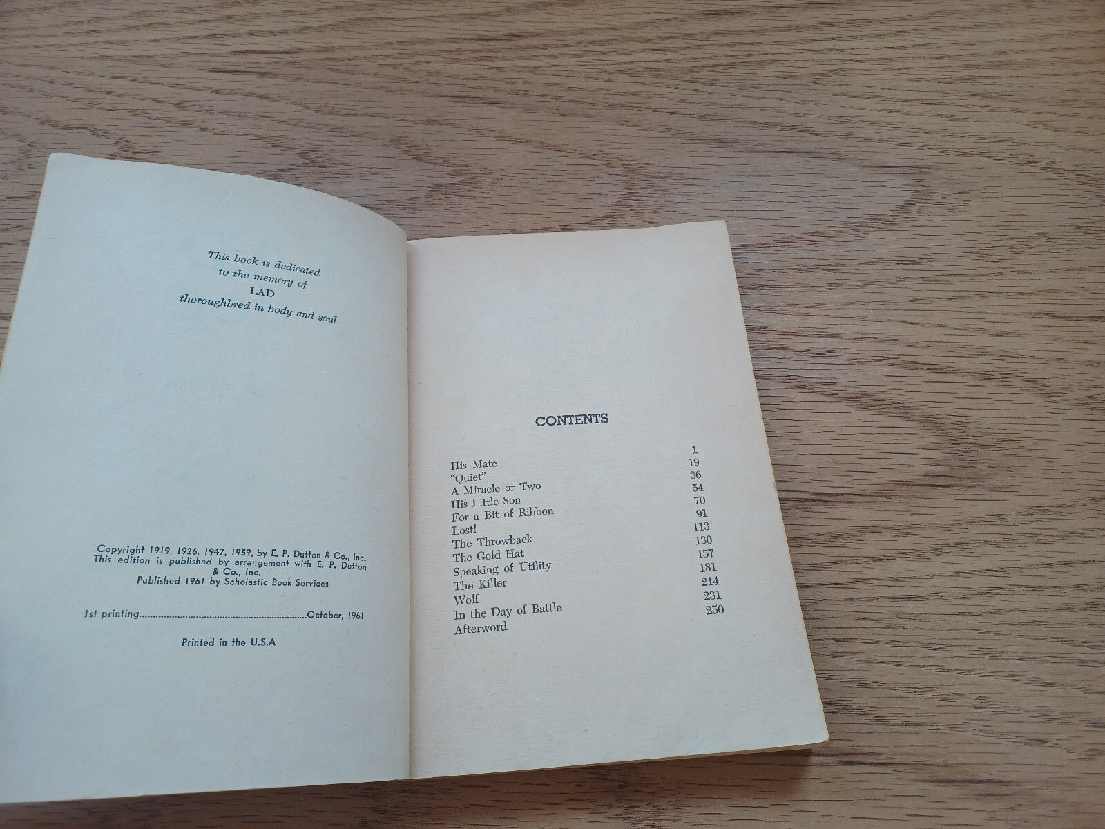 Image #8