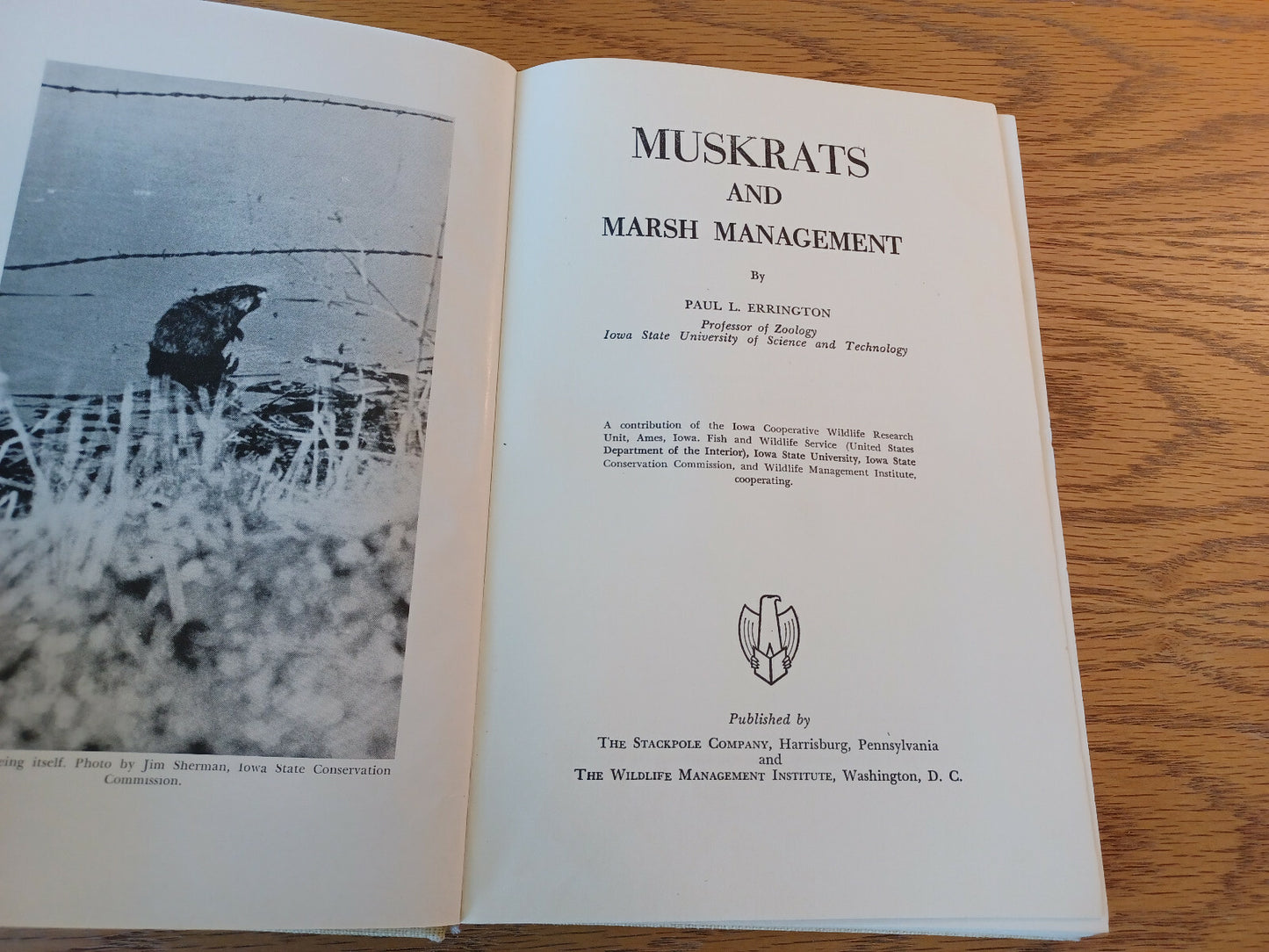 Image #8