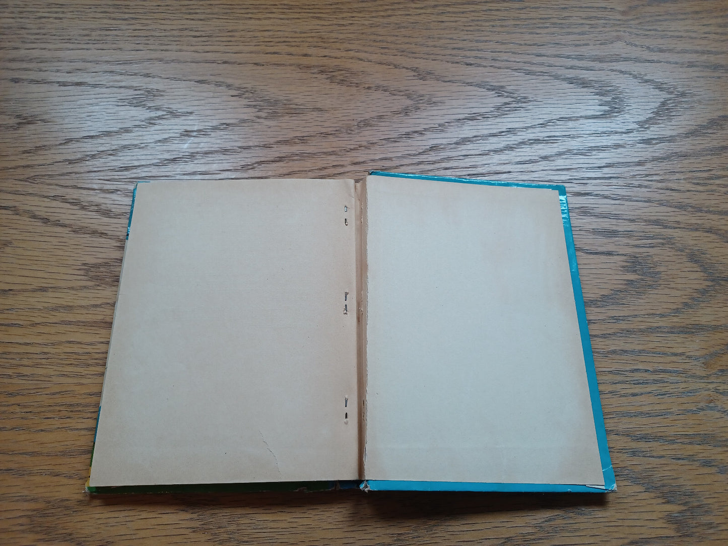 Image #6