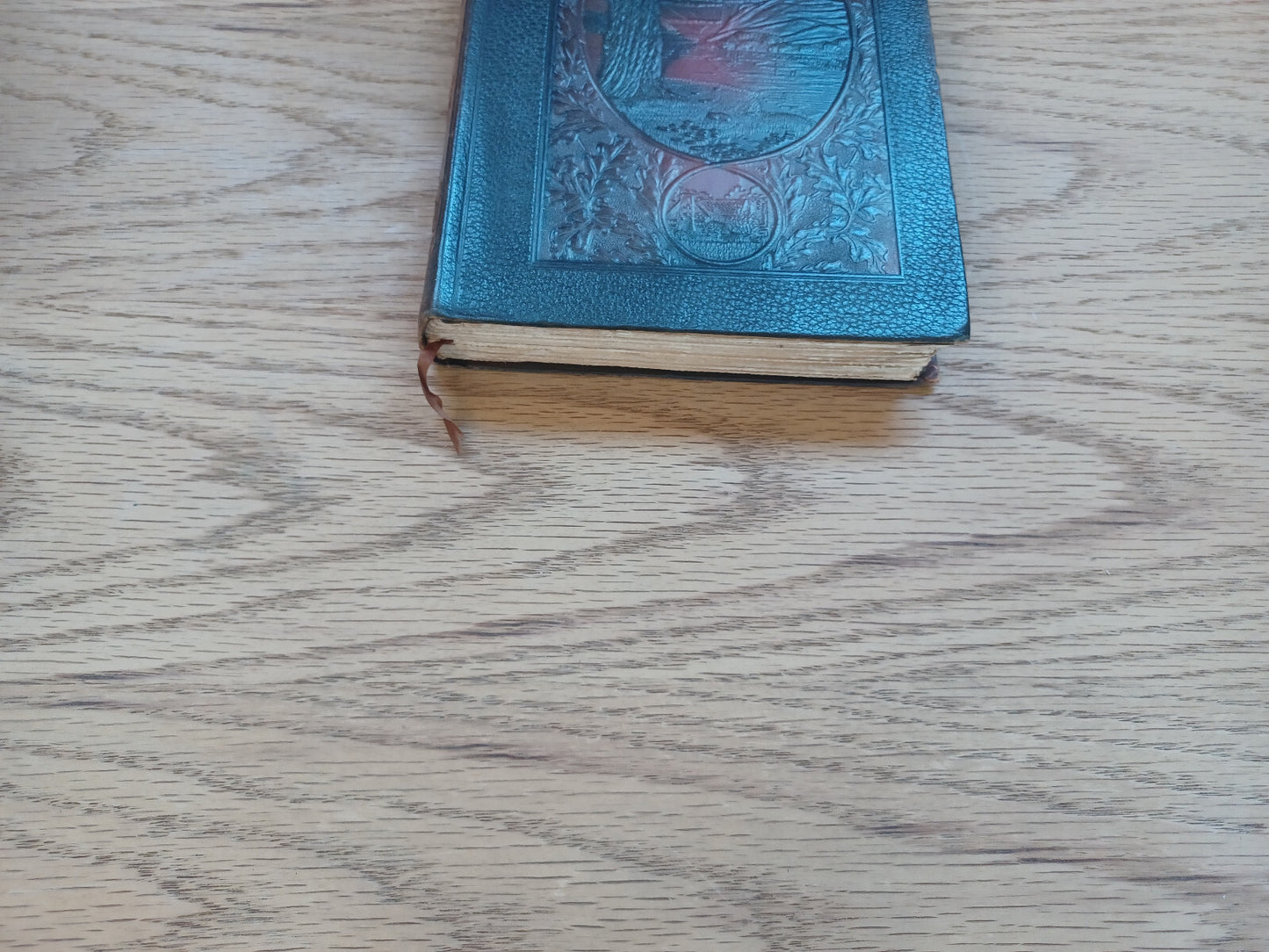 Image #2