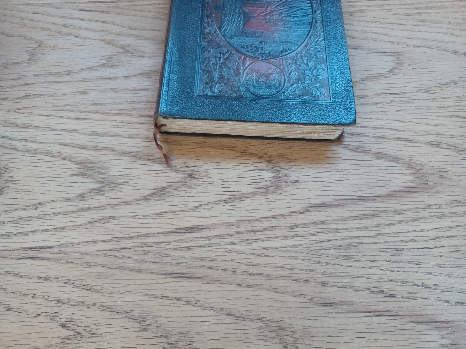 Image #2