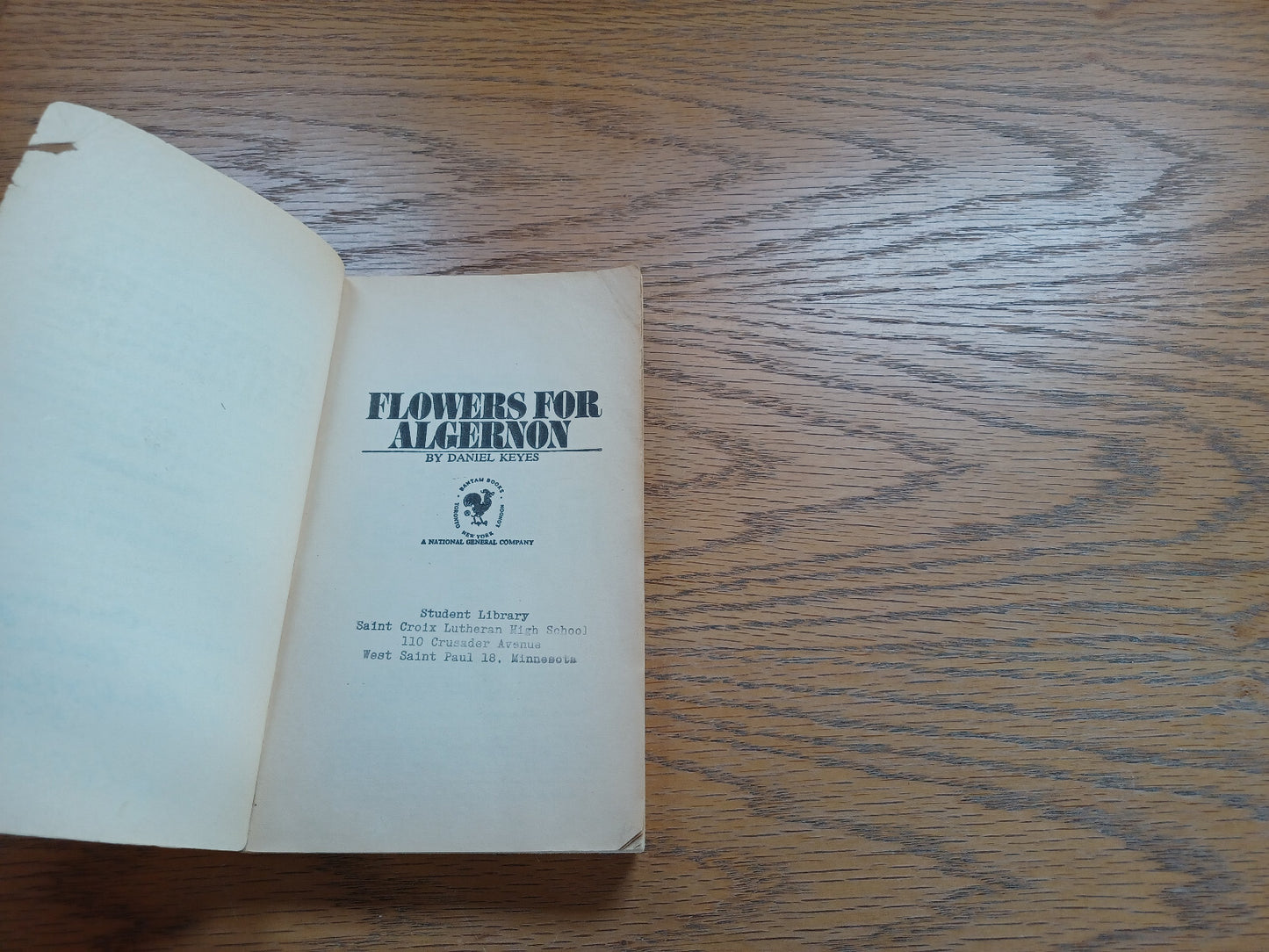 Image #7