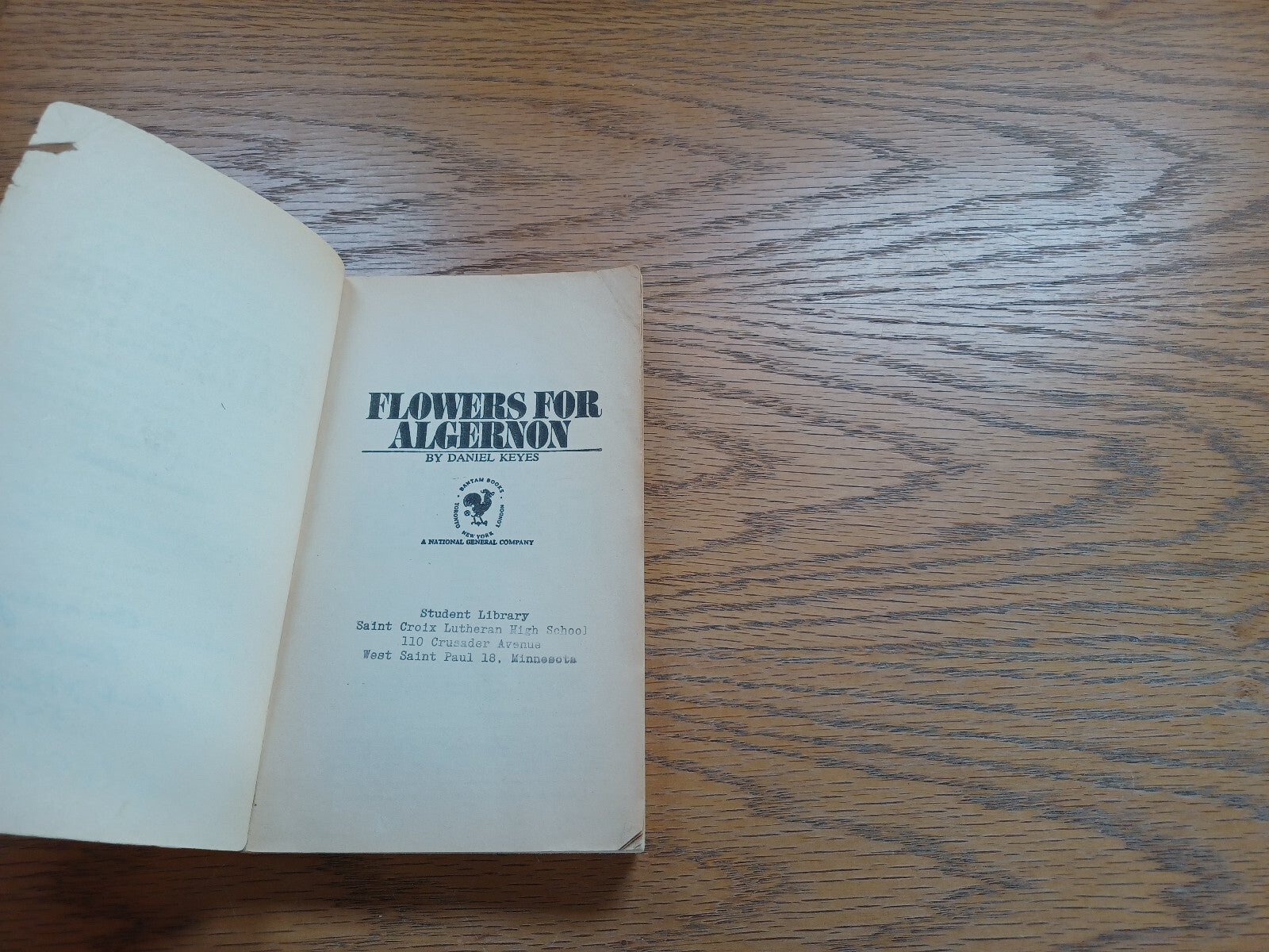 Image #7
