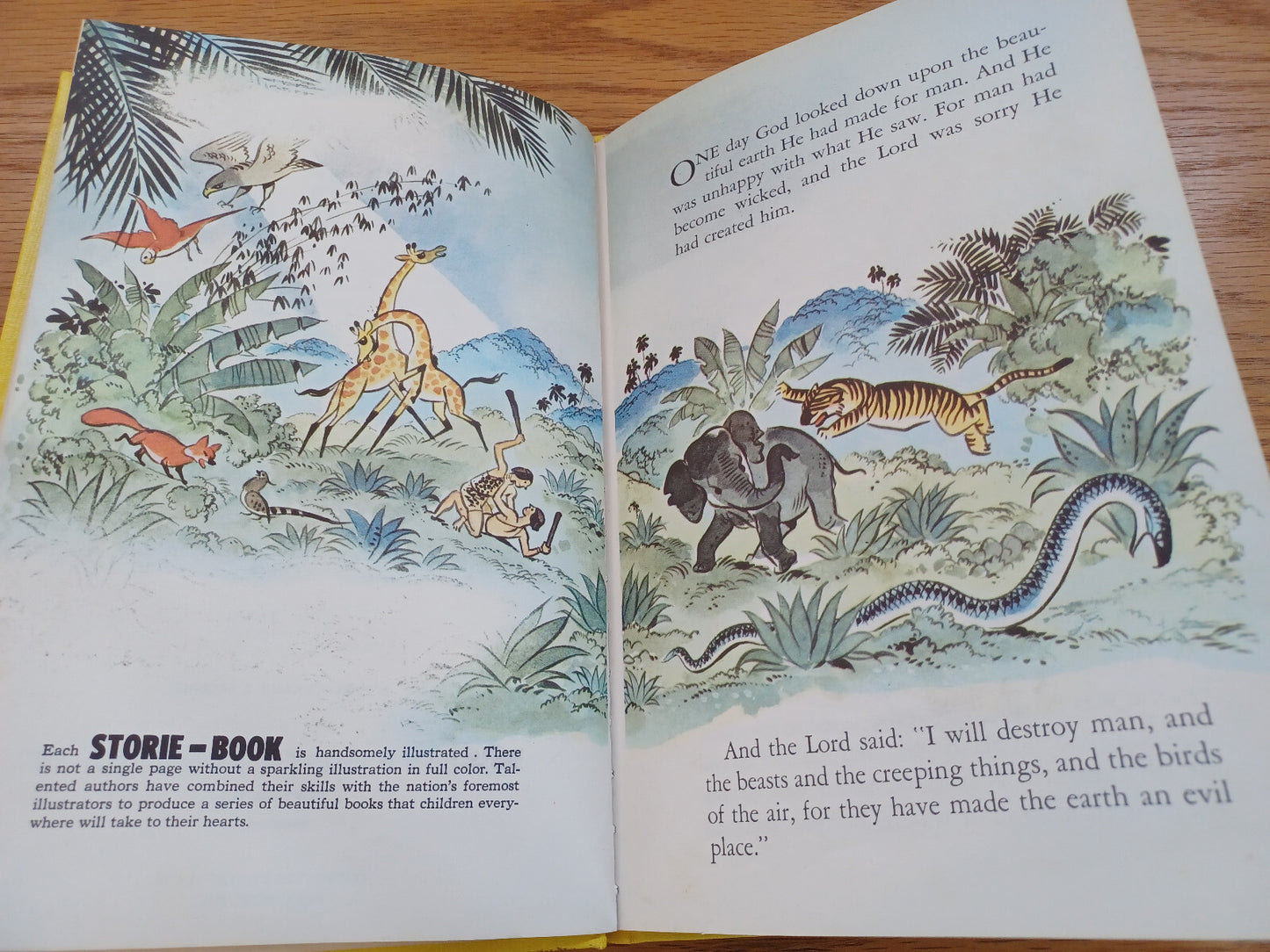 Image #8