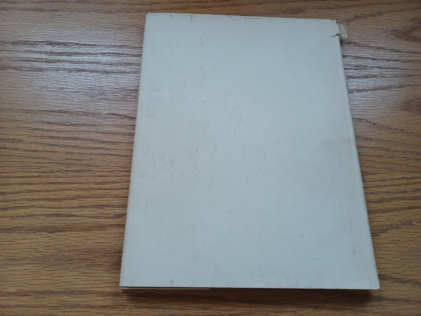Image #6
