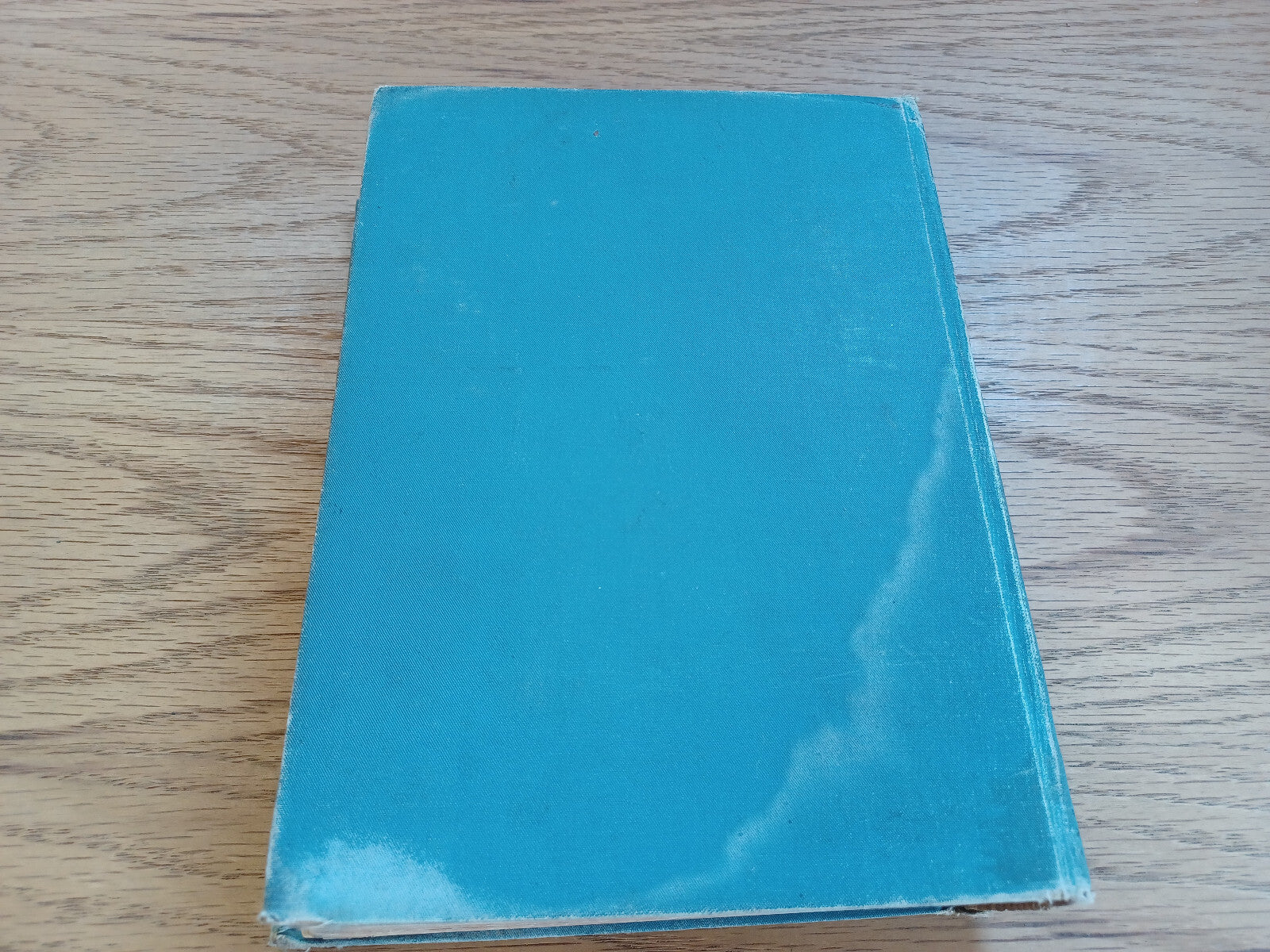 Image #6