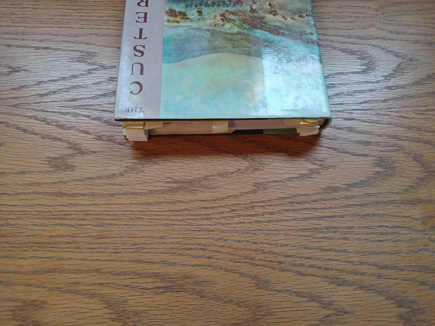 Image #4