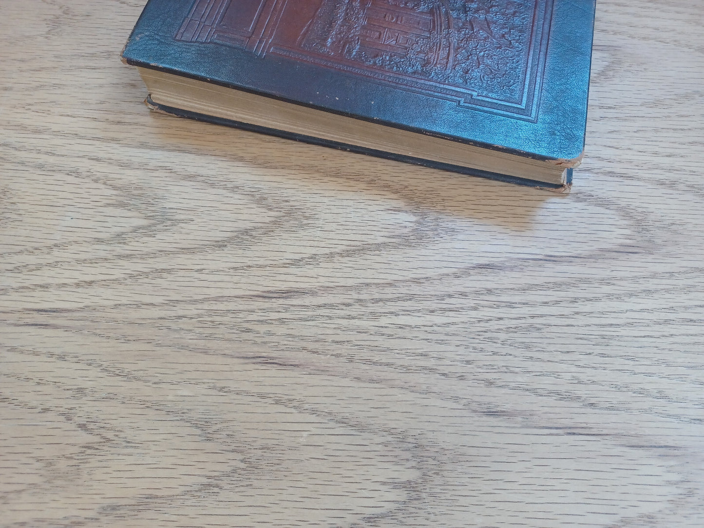 Image #3