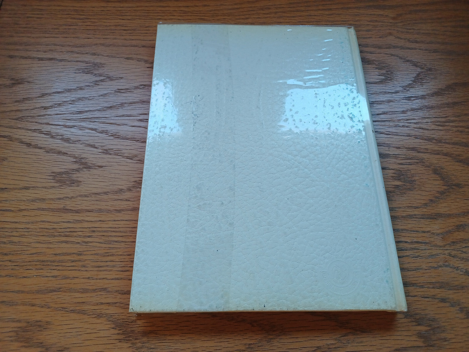 Image #6