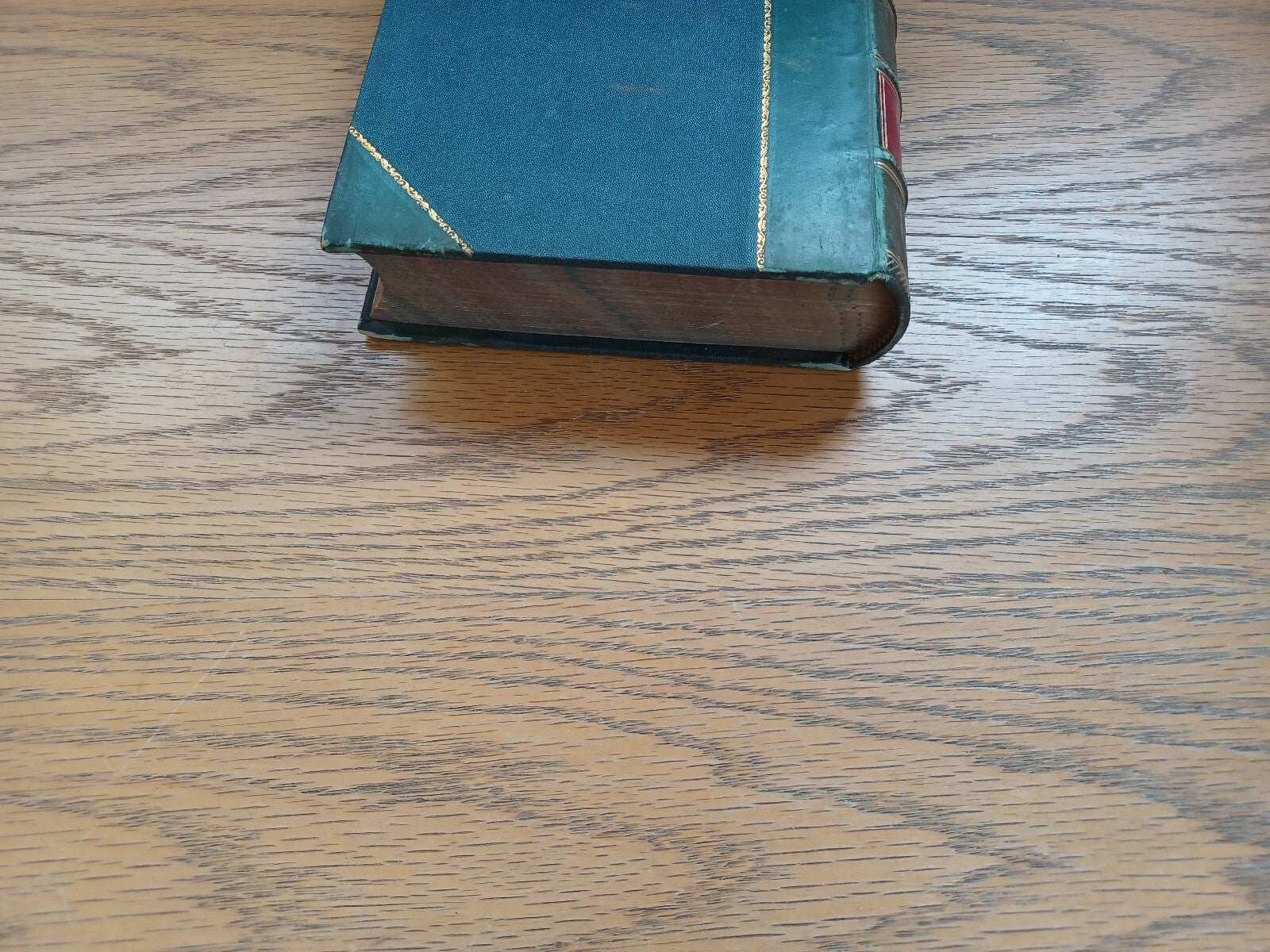 Image #4