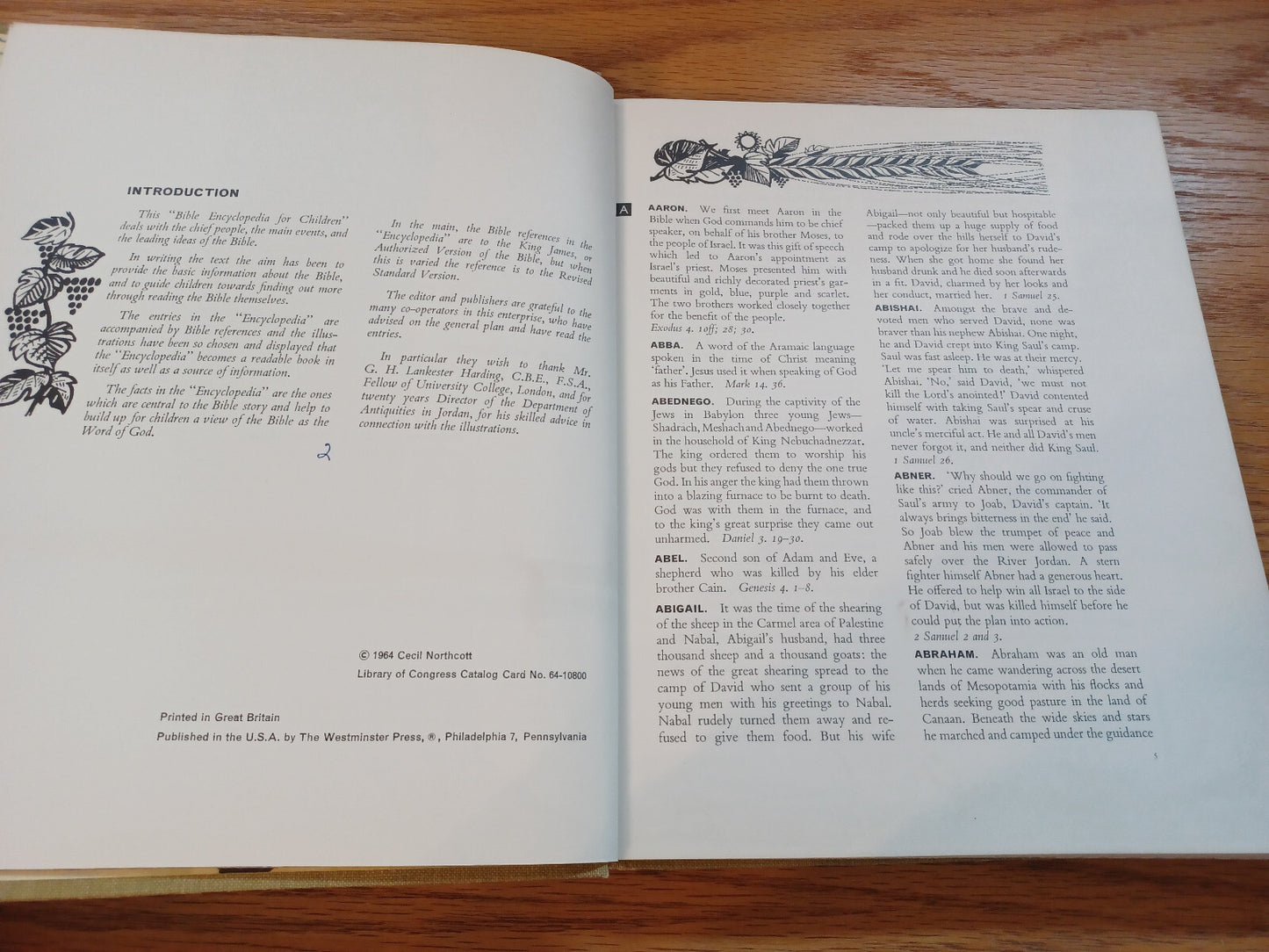 Image #8